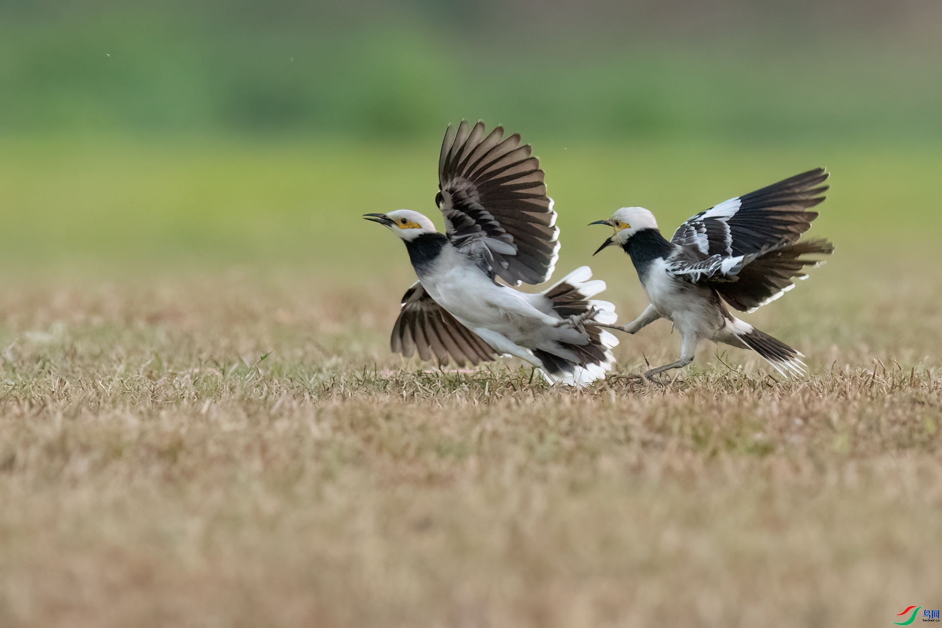 ������ ���� ��ͽ ����.jpg