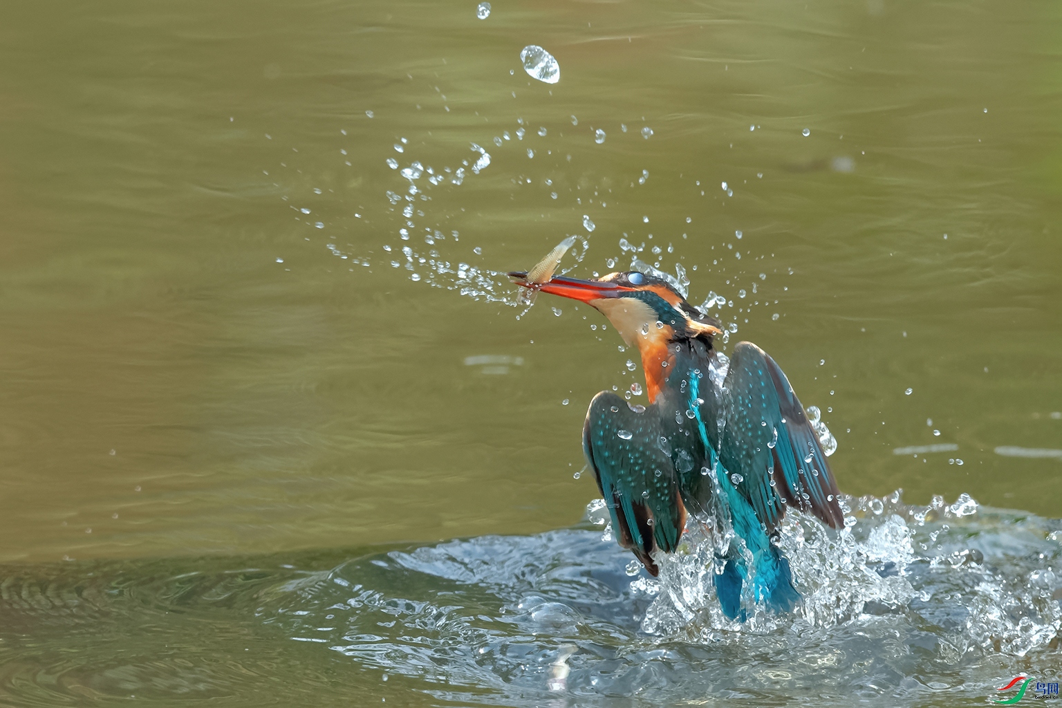 DSC_5193_DxOa.jpg