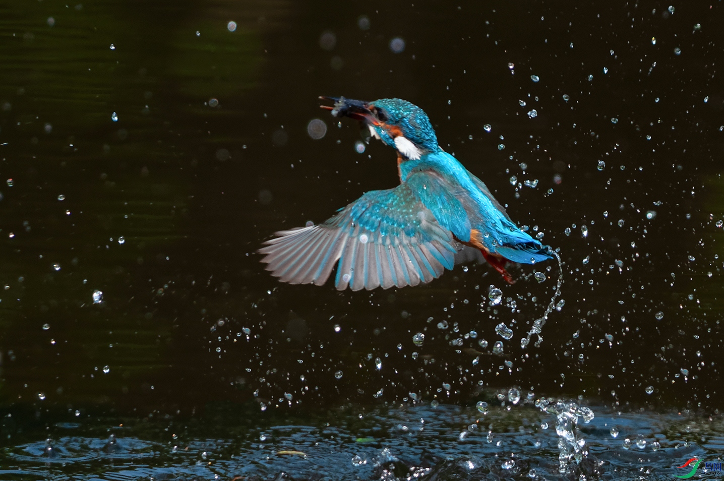 DSC_0007_DxOa.jpg
