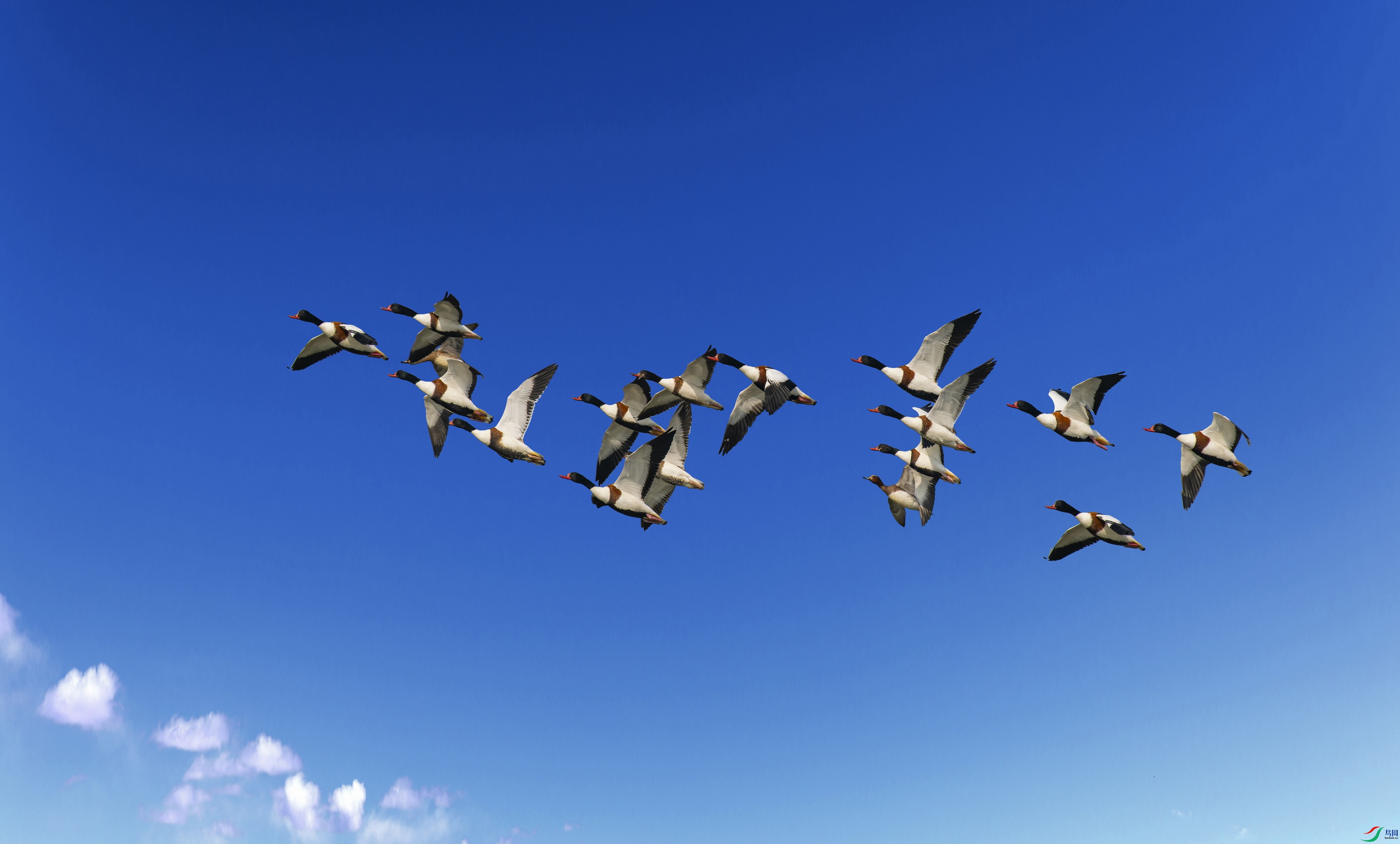 �̱���Ѽ������ (1)-2.jpg