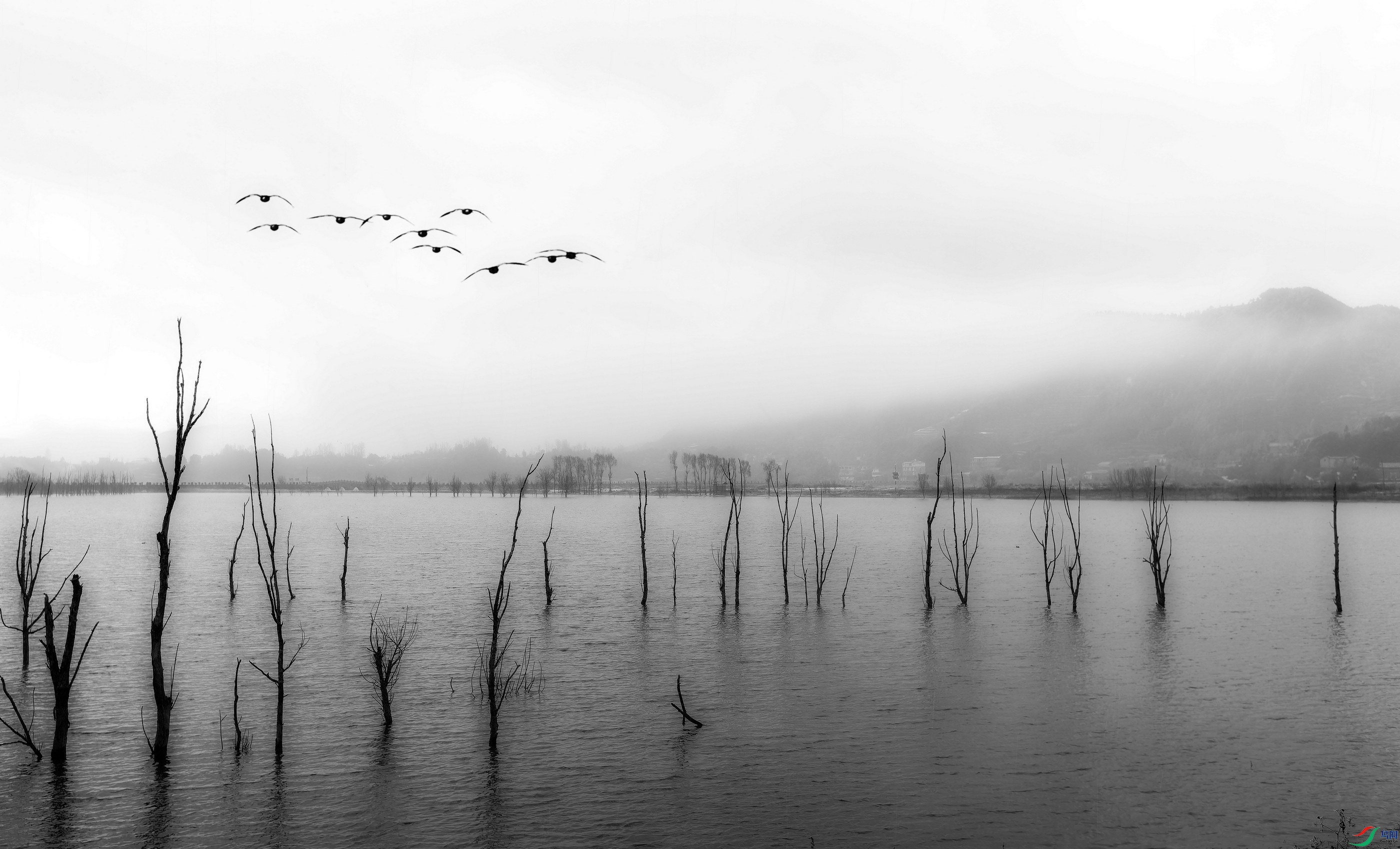 085A6107-2-2-0.jpg