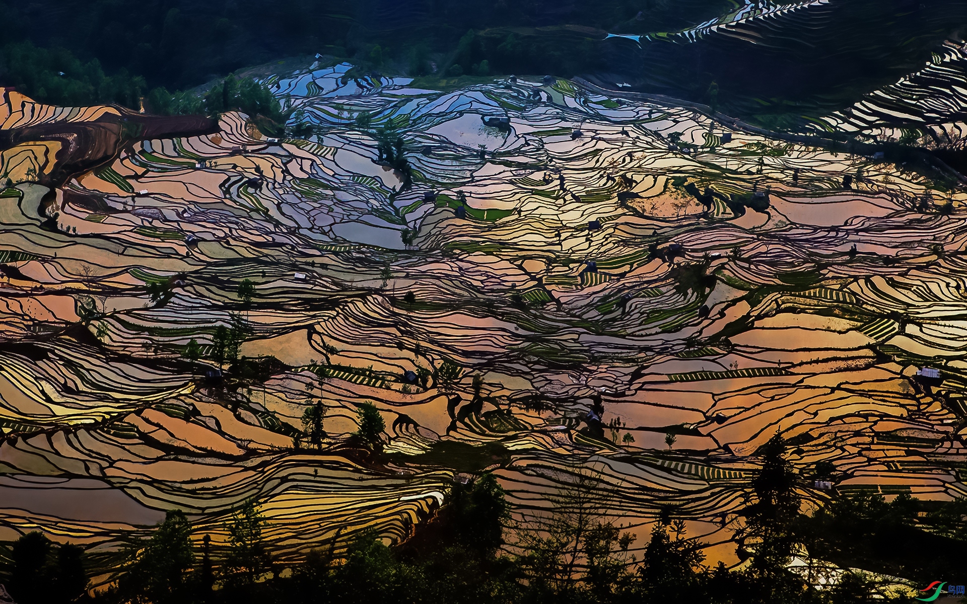 _MG_5268-1.jpg