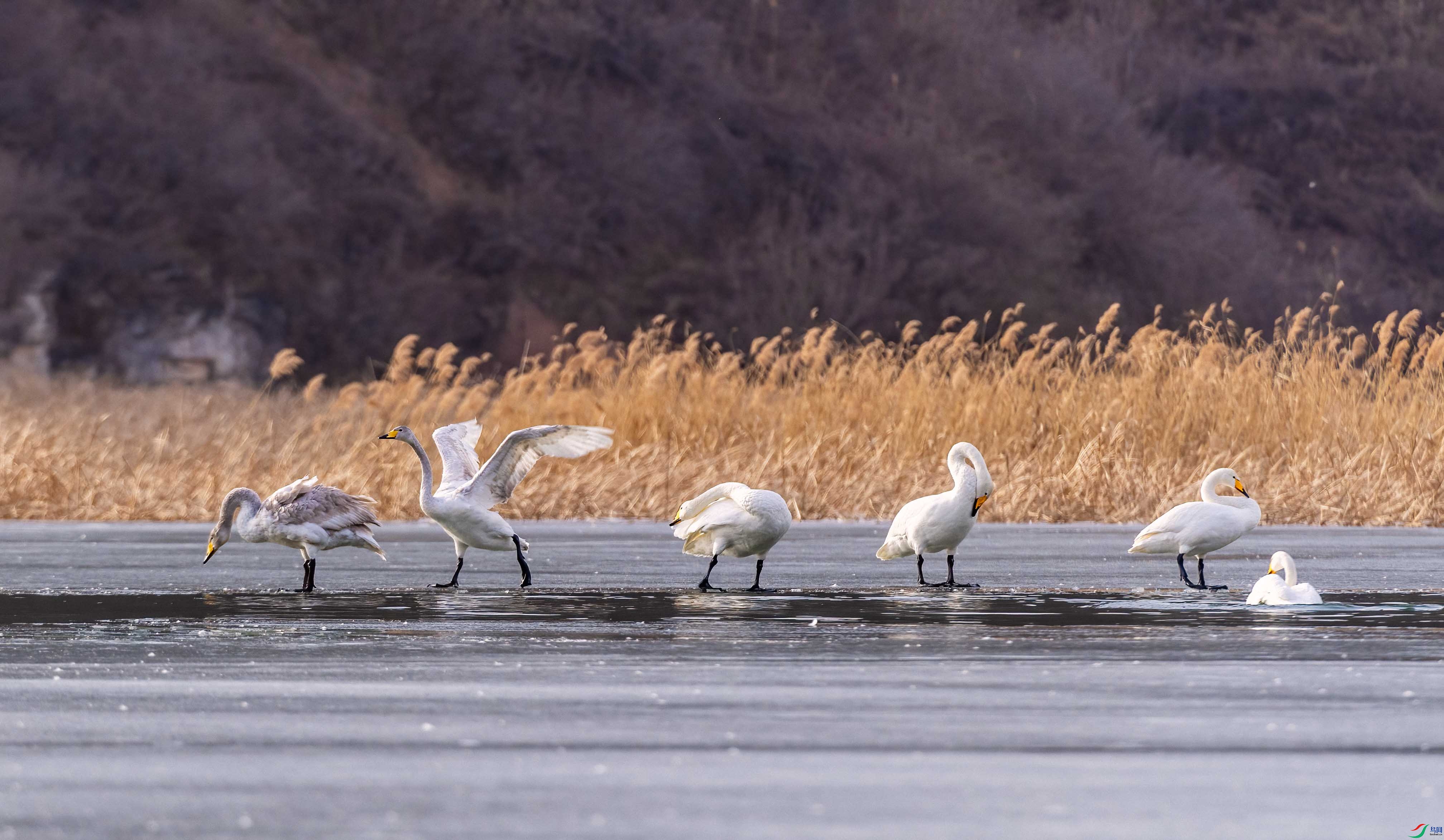 DSC_4326 ����.jpg