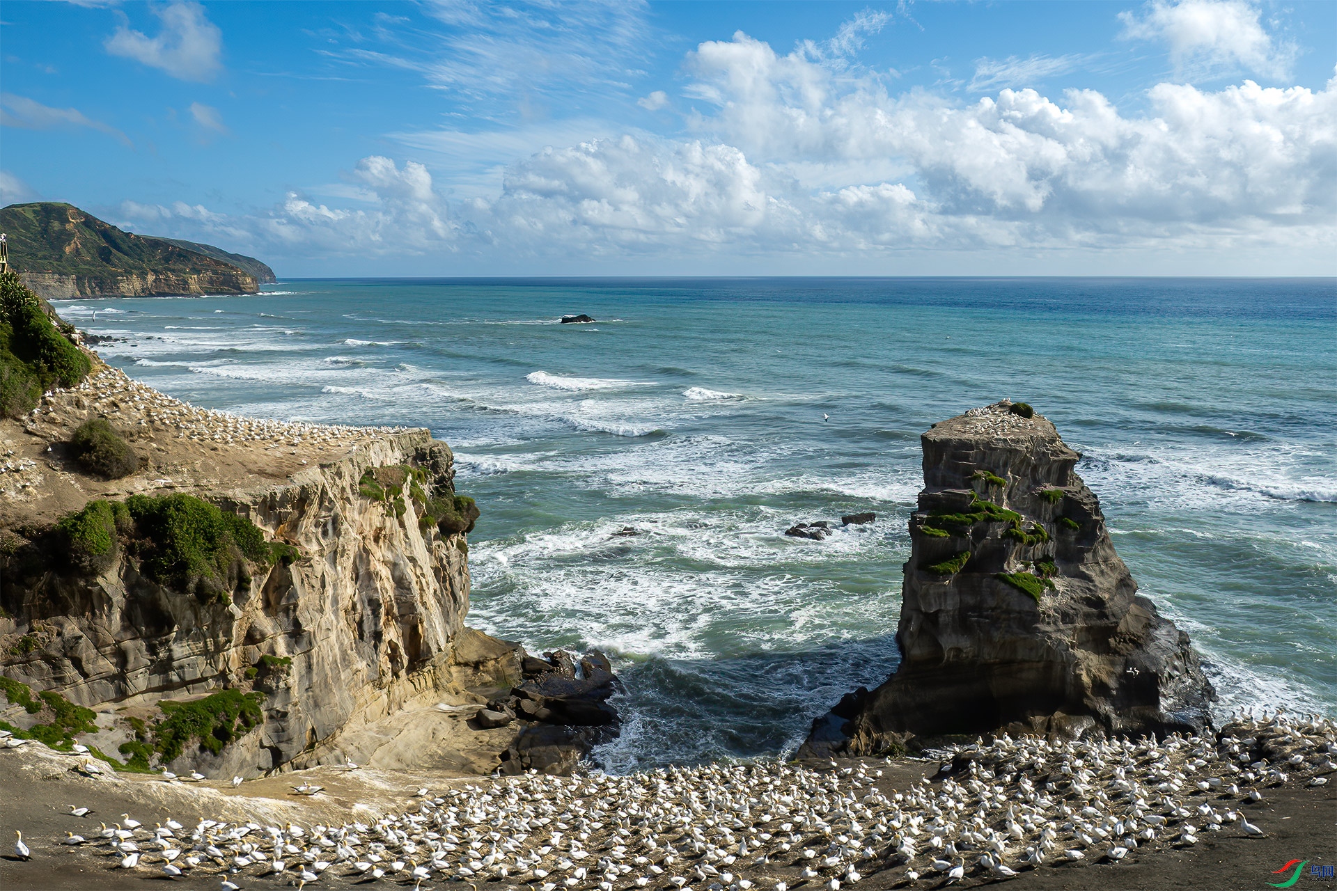PC220145-����ǿ-NR-1��.jpg