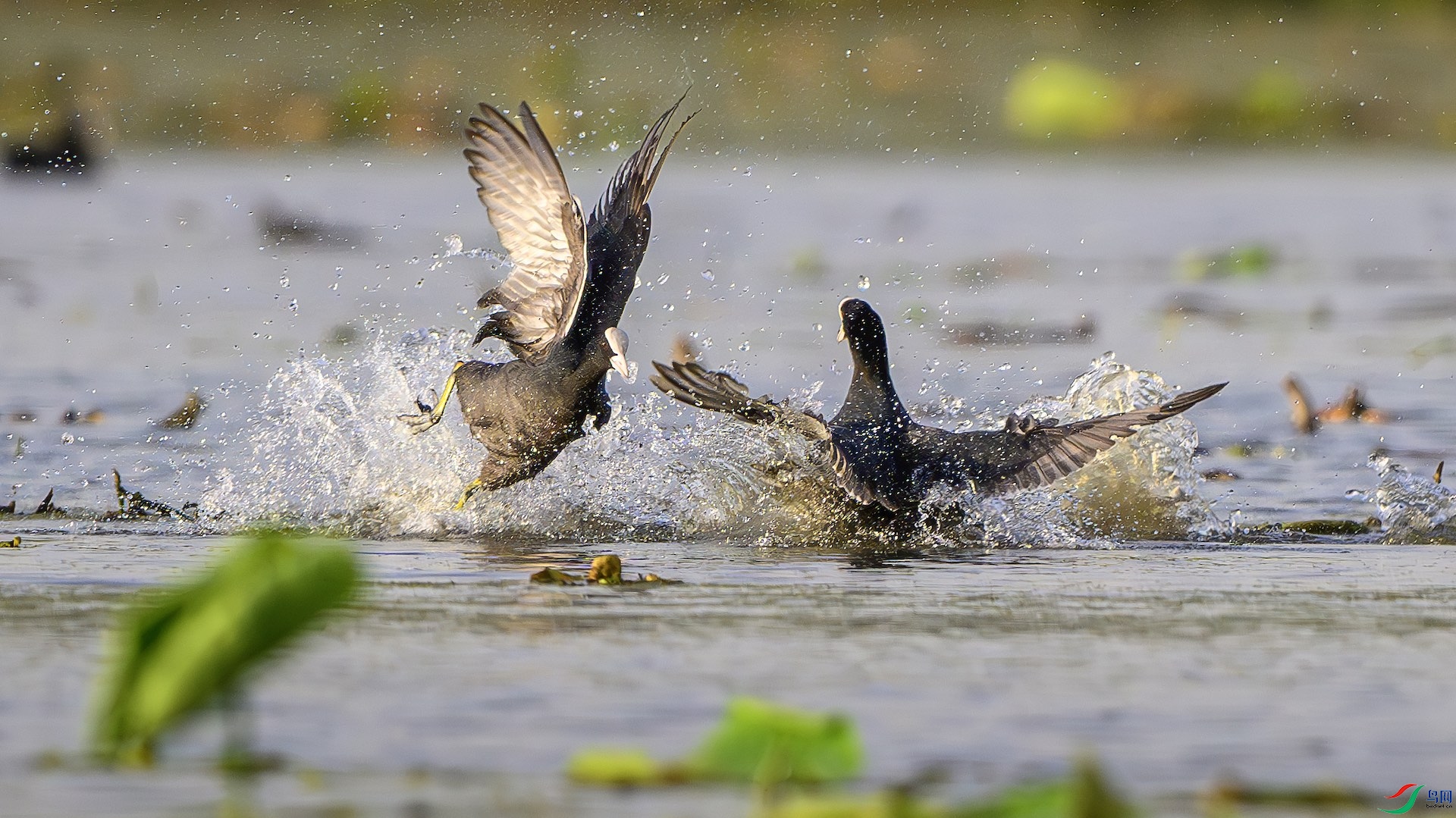 1_XXL0224-����ǿ-NR ����.jpeg