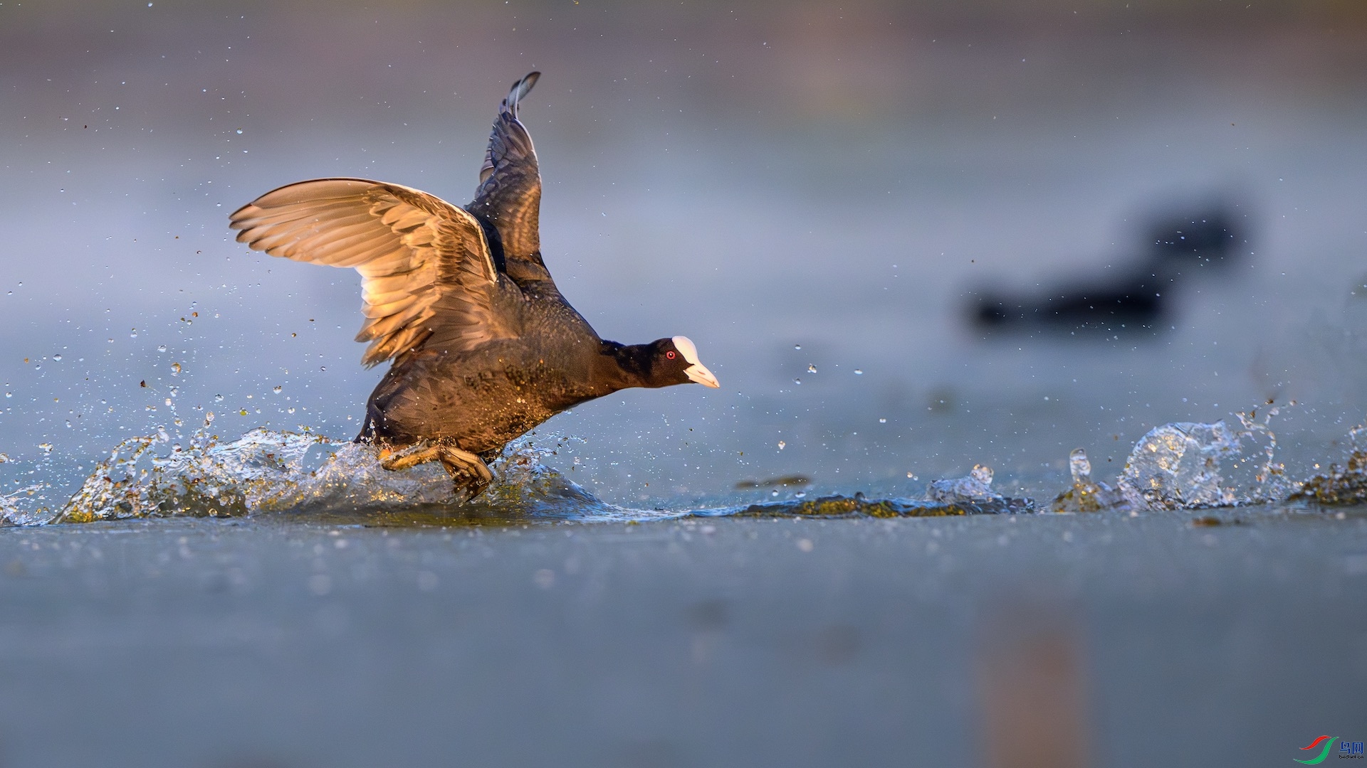 1_XXL5747-����ǿ-NR ����.jpeg