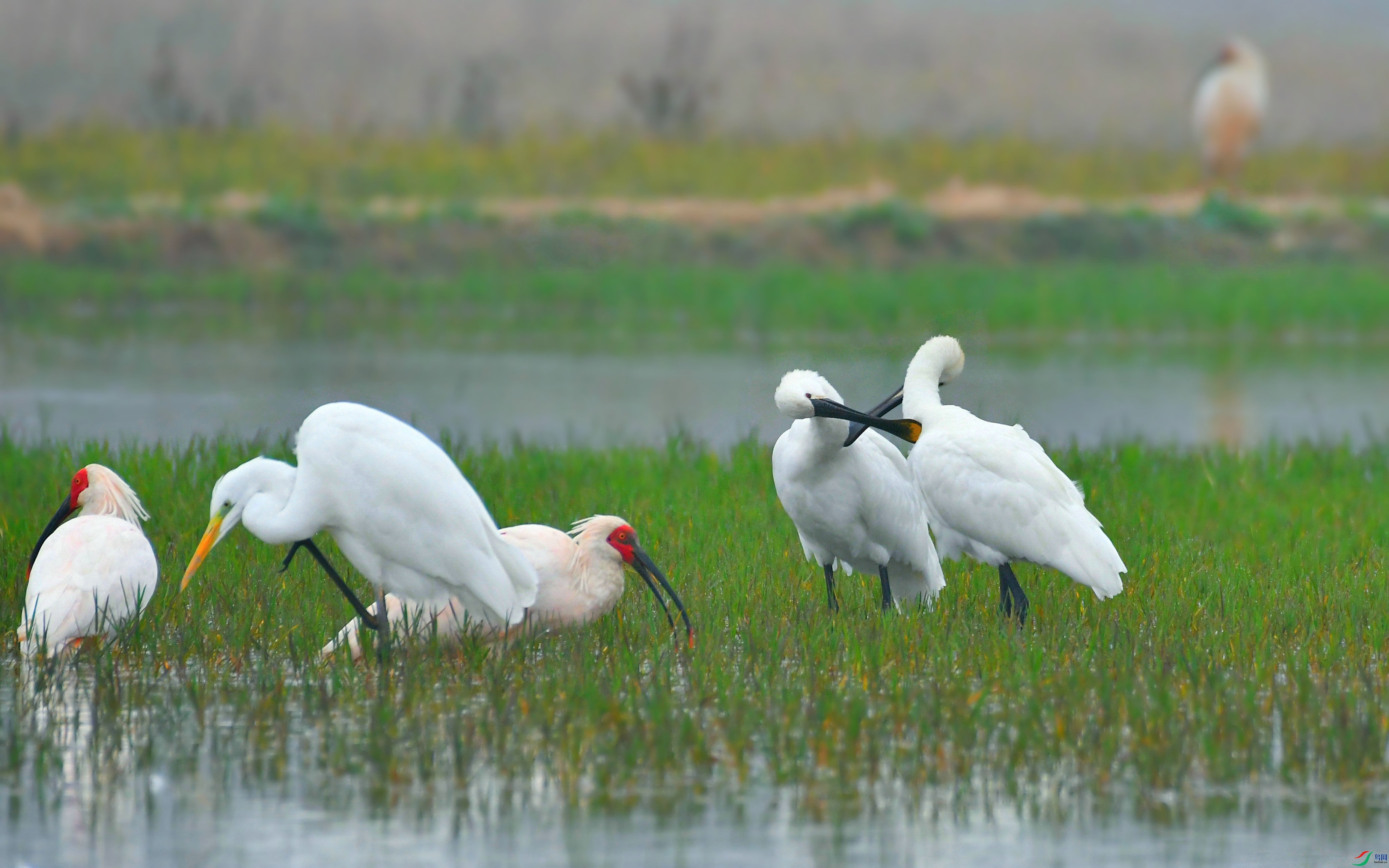 DSC_0064.JPG