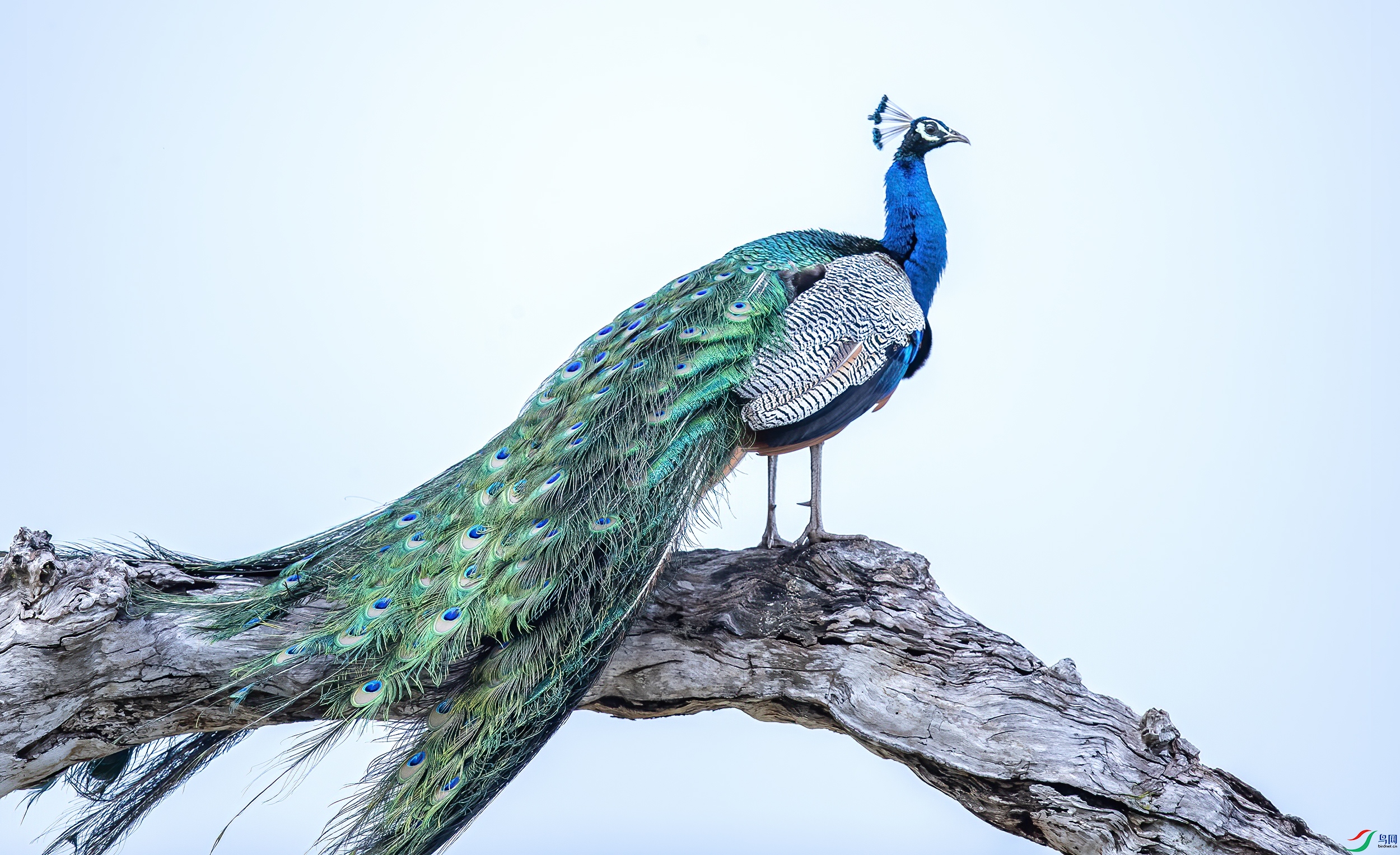 AC3I2932 ����.jpg