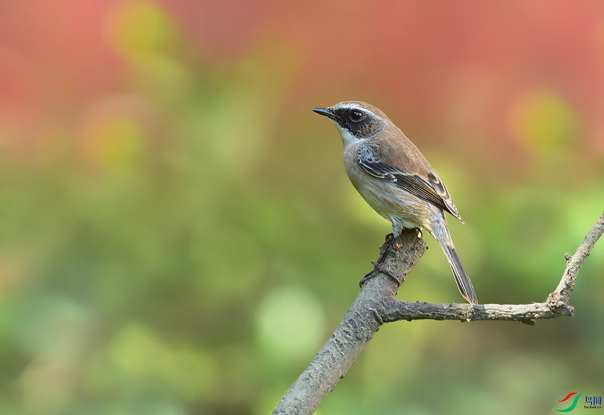 DSC_0717.jpg