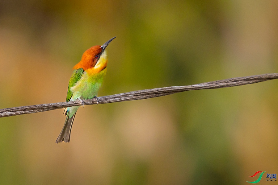 0R5A1444 ����.jpg