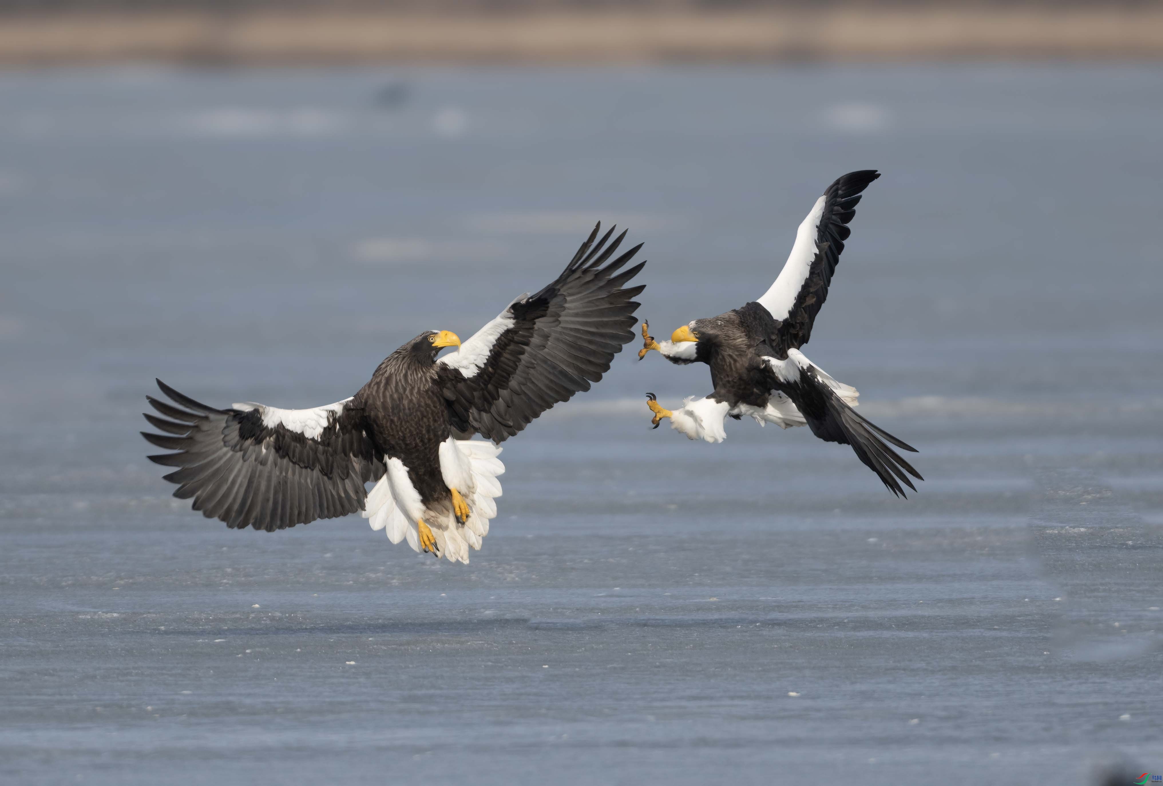 DSC_9451 ���� 2.jpg