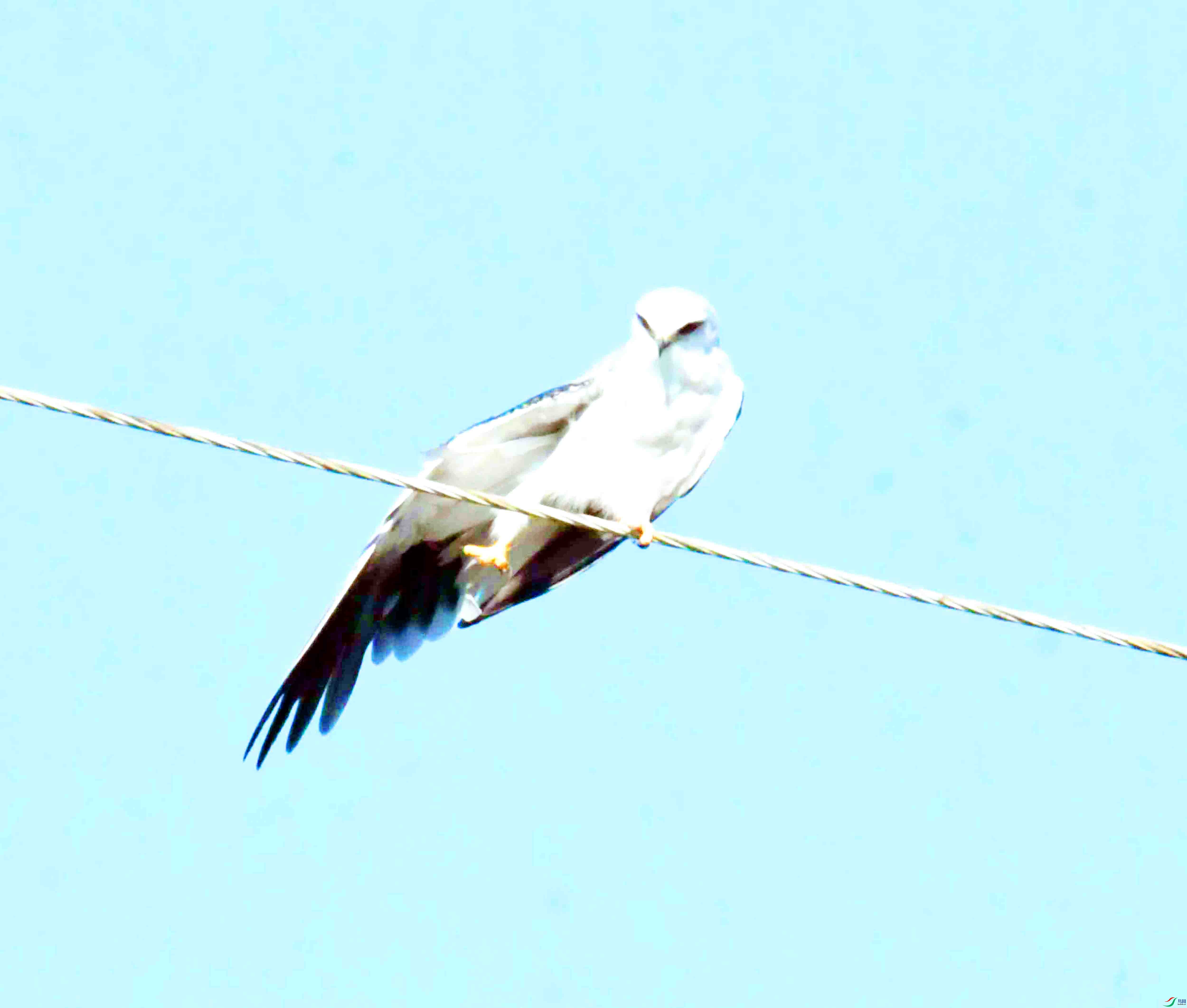 DSC_5824.JPG