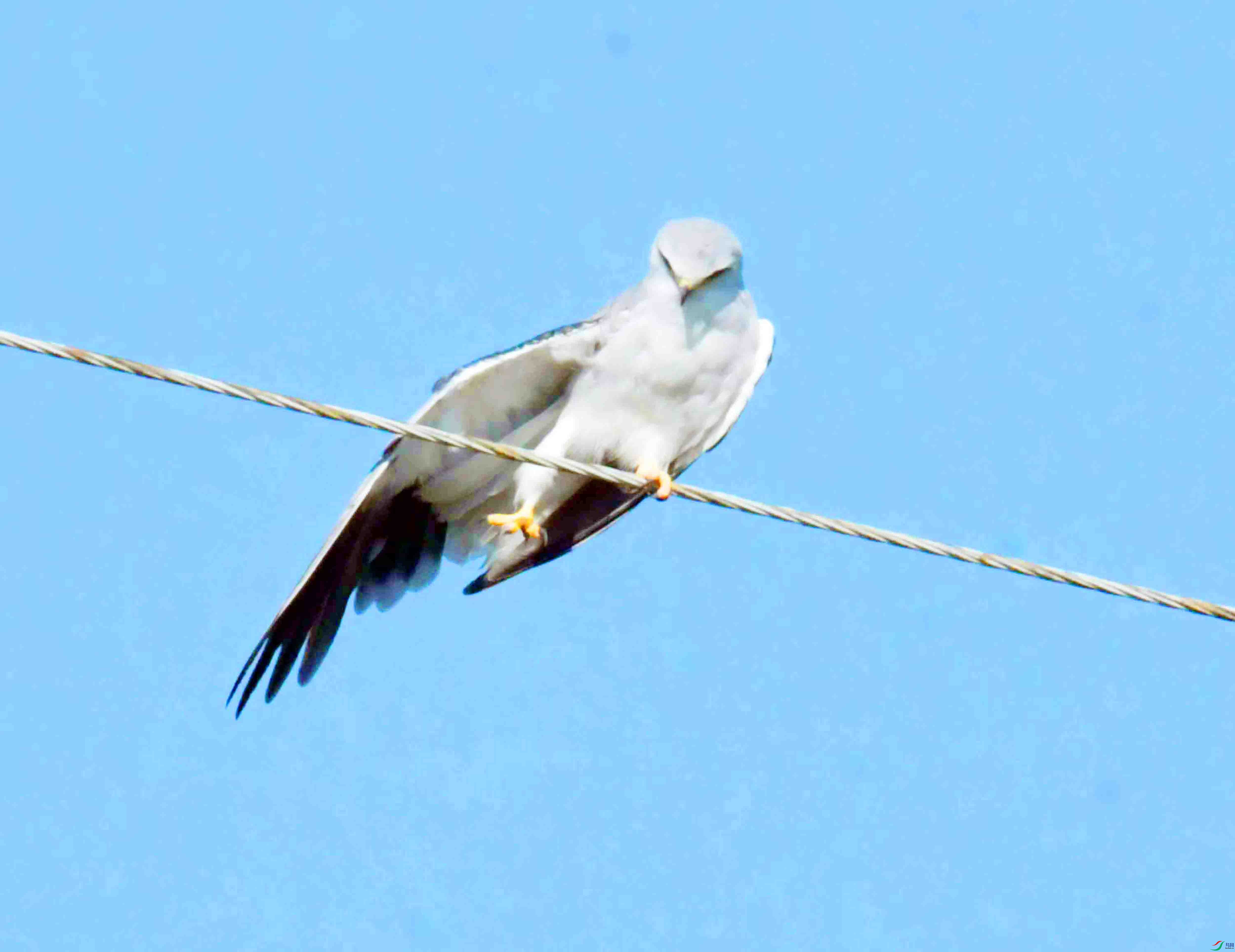 DSC_5826.JPG