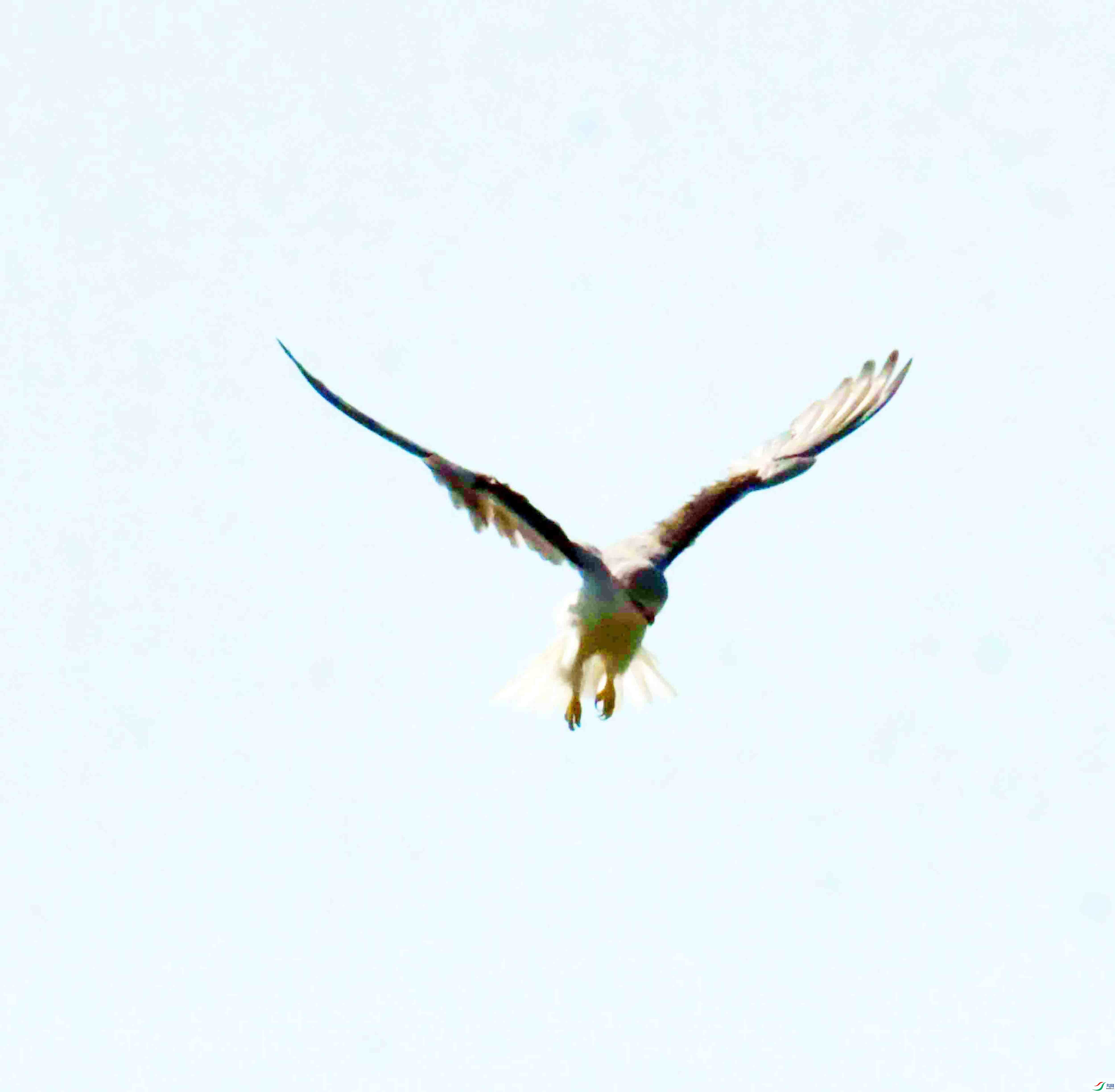DSC_5900.JPG