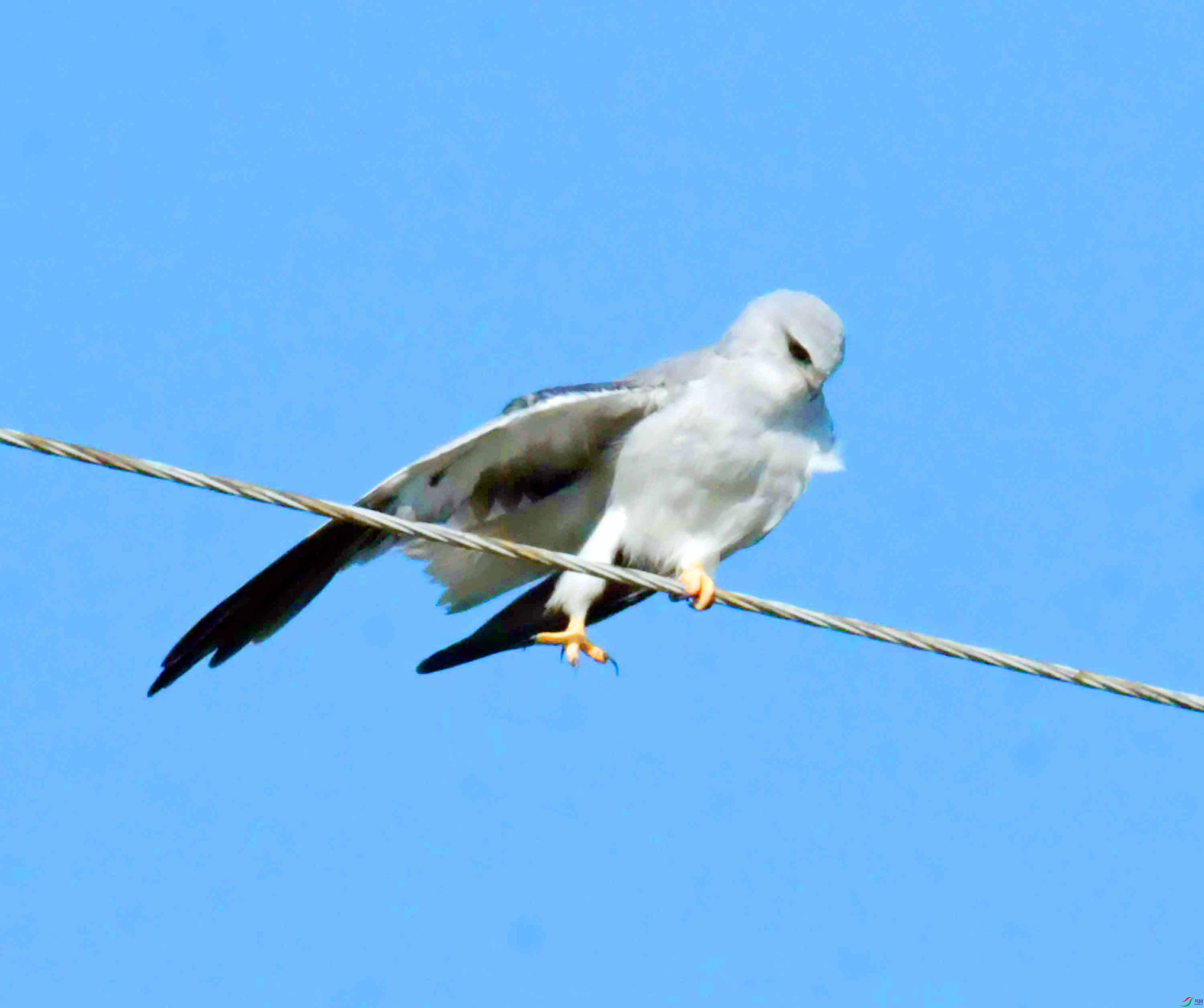 DSC_5858.JPG