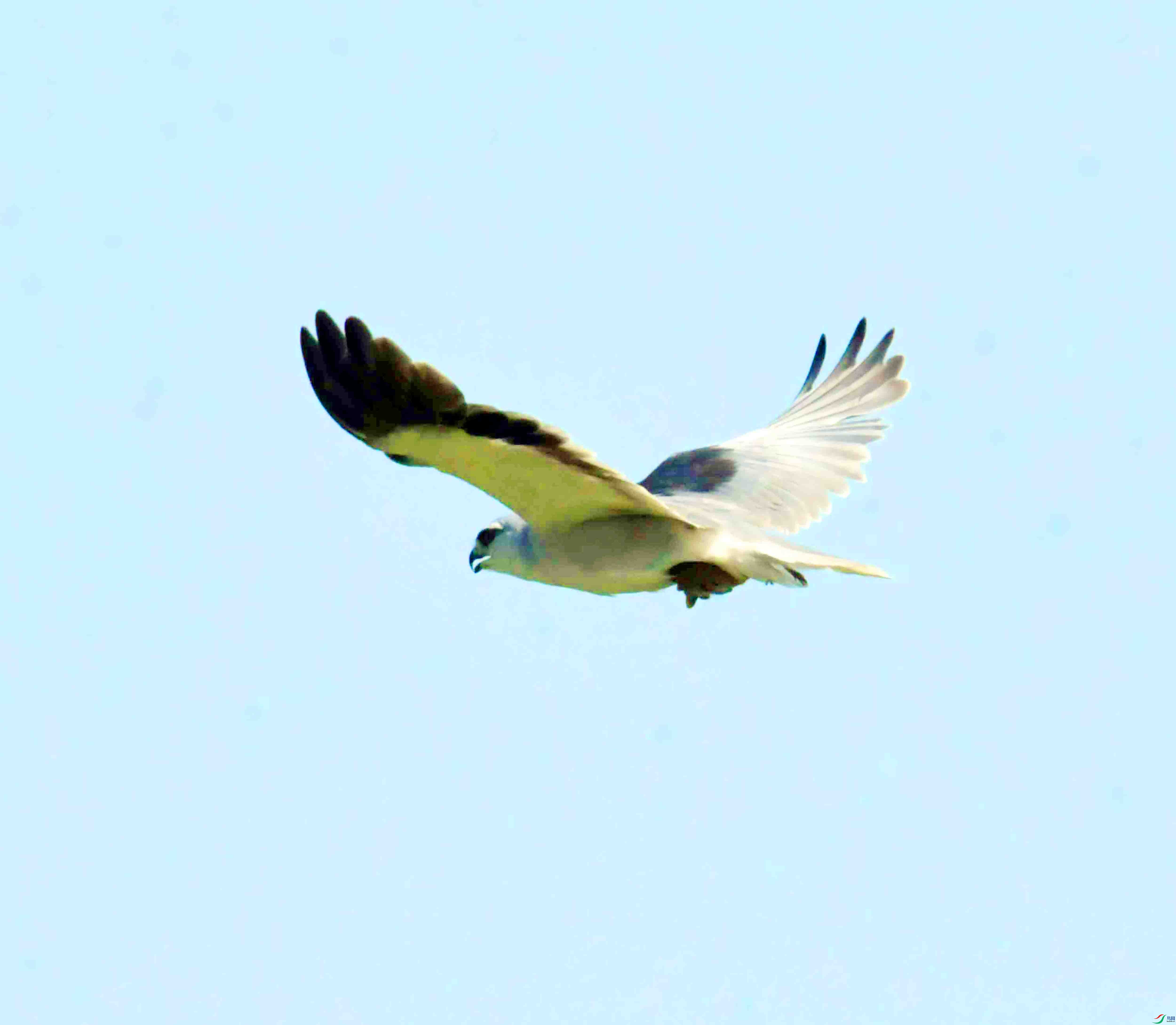 DSC_5911.JPG