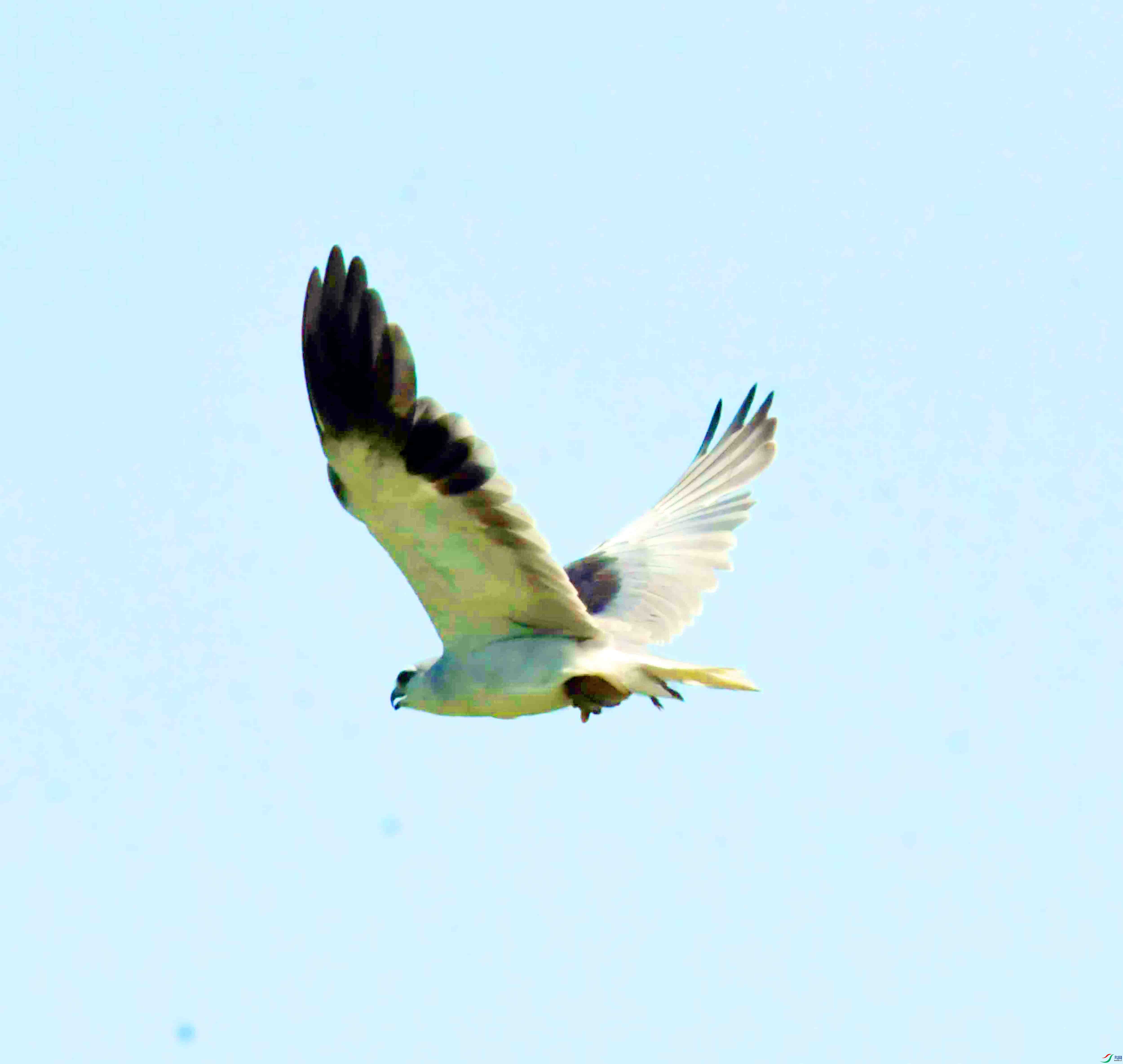 DSC_5913.JPG