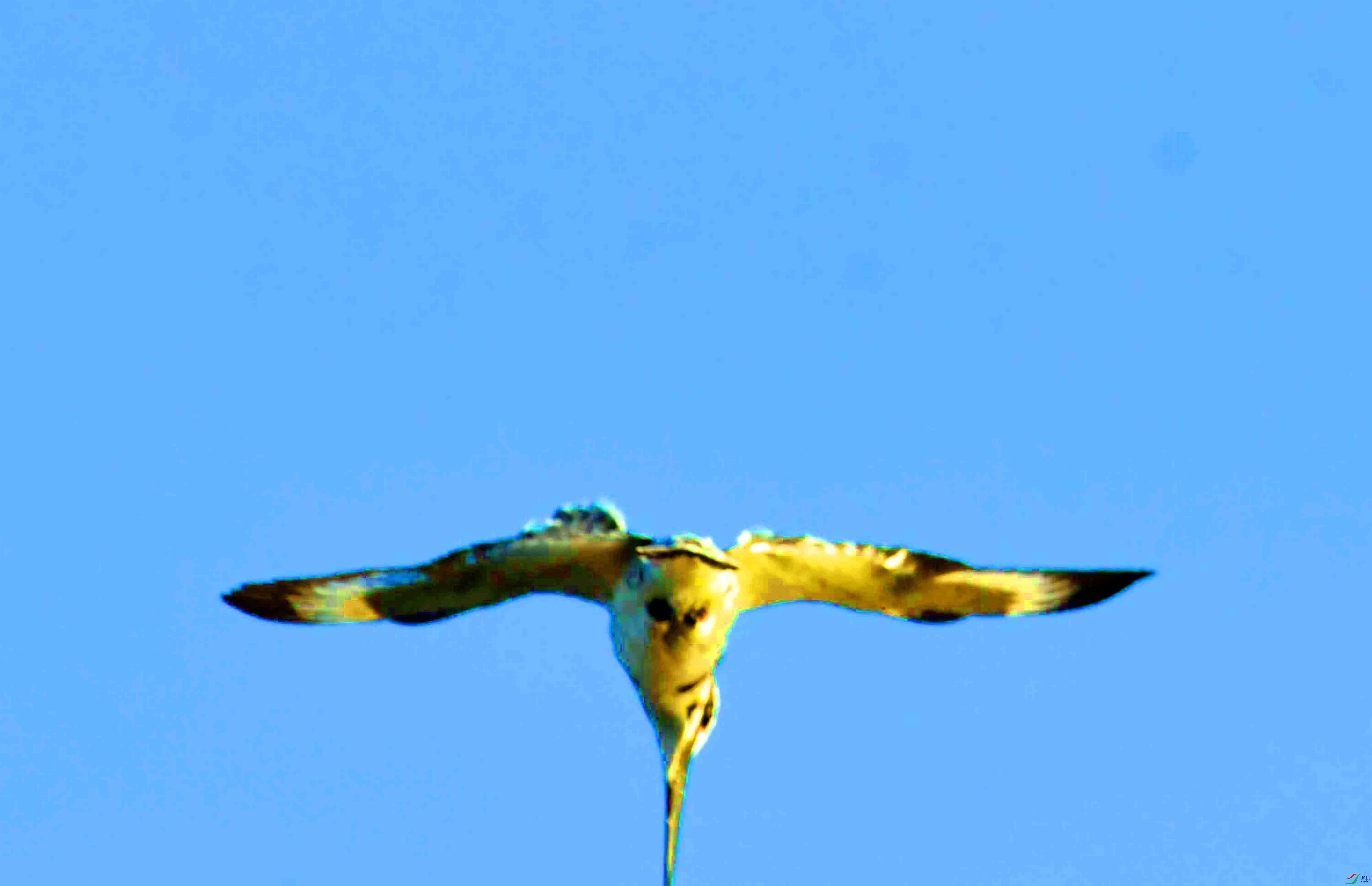 DSC_4041.JPG