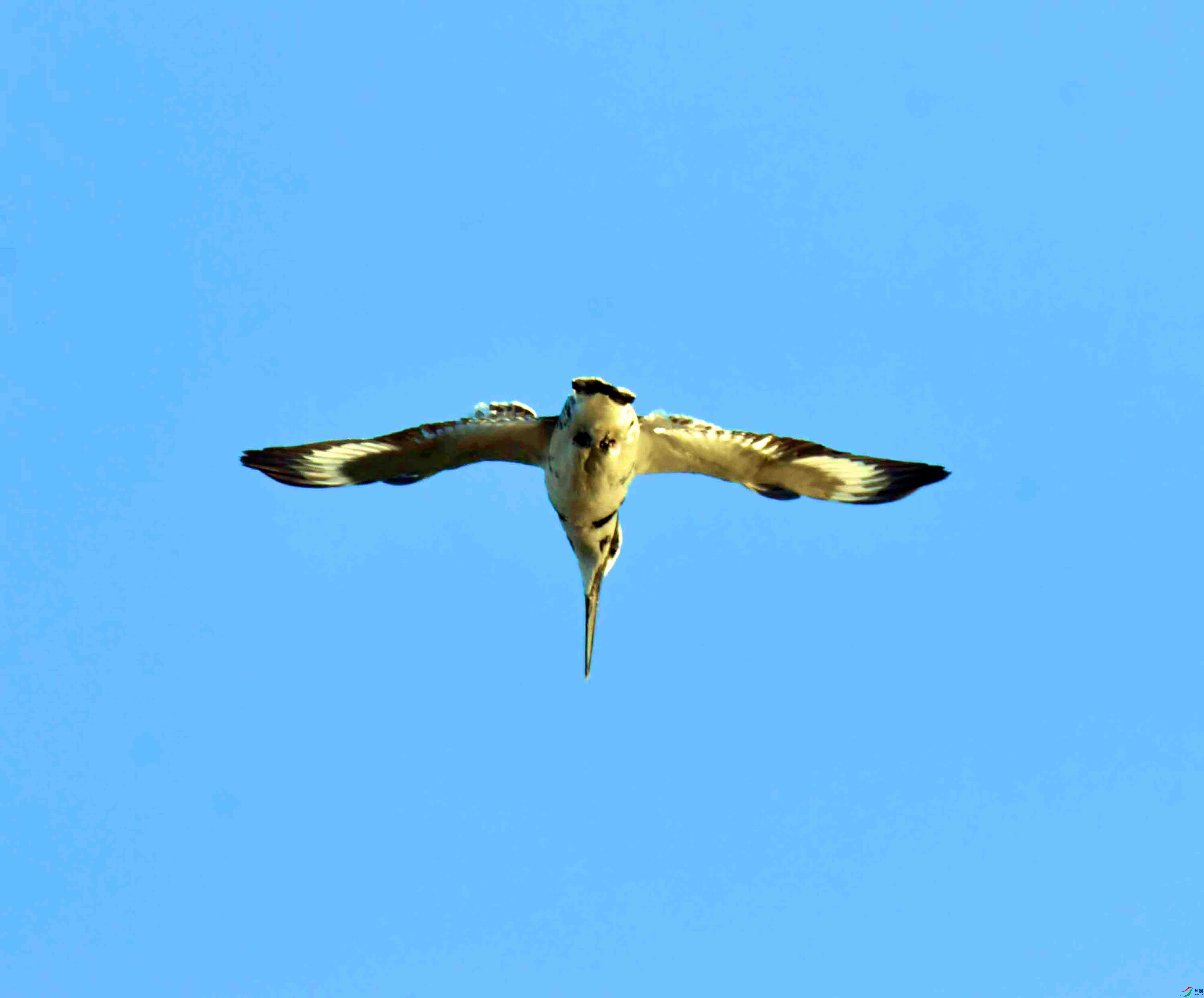 DSC_4040.JPG