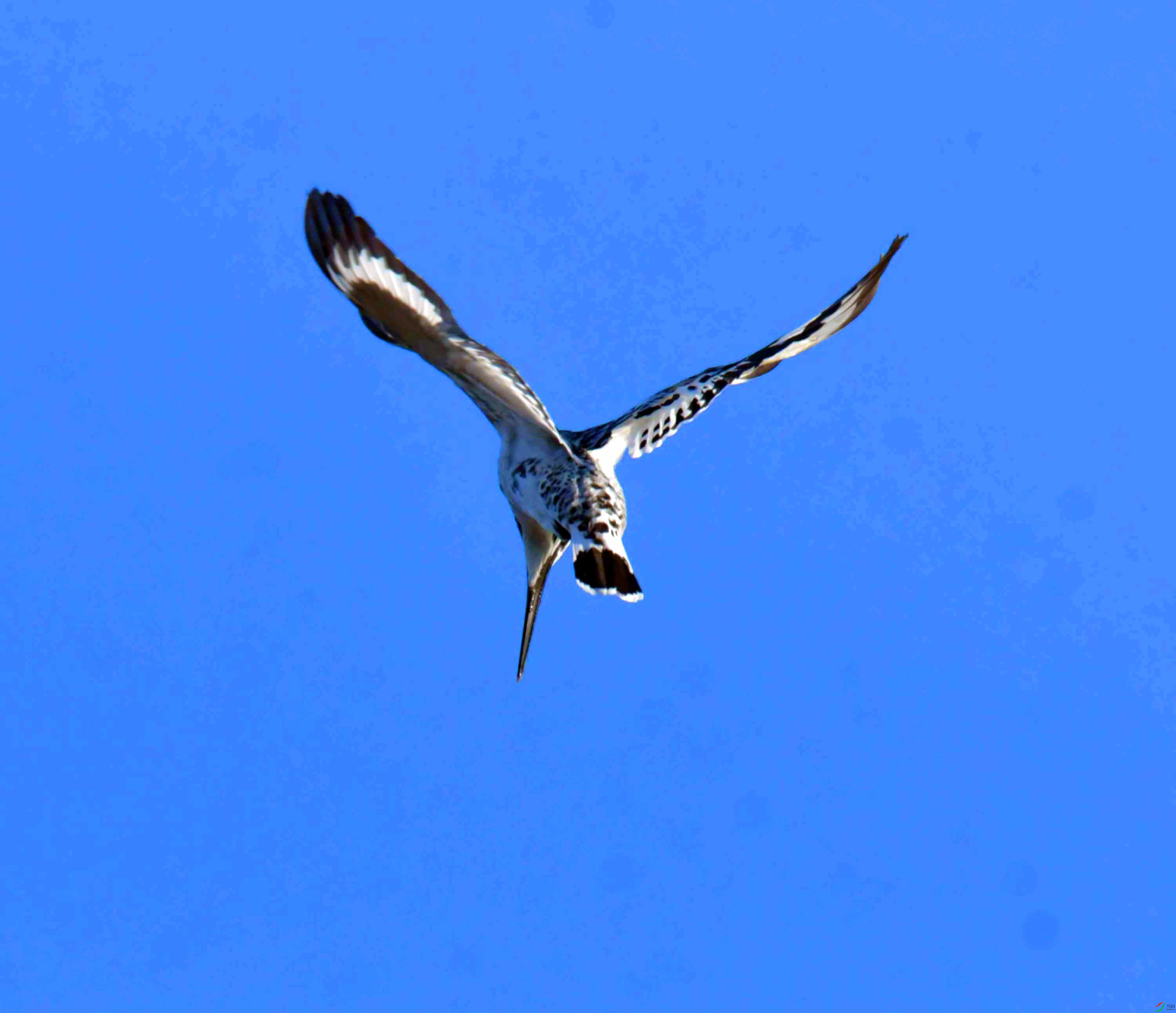 DSC_4044.JPG