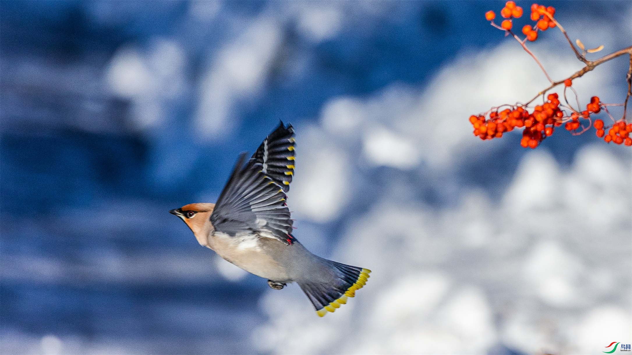 1K3A3329 ����1.jpg