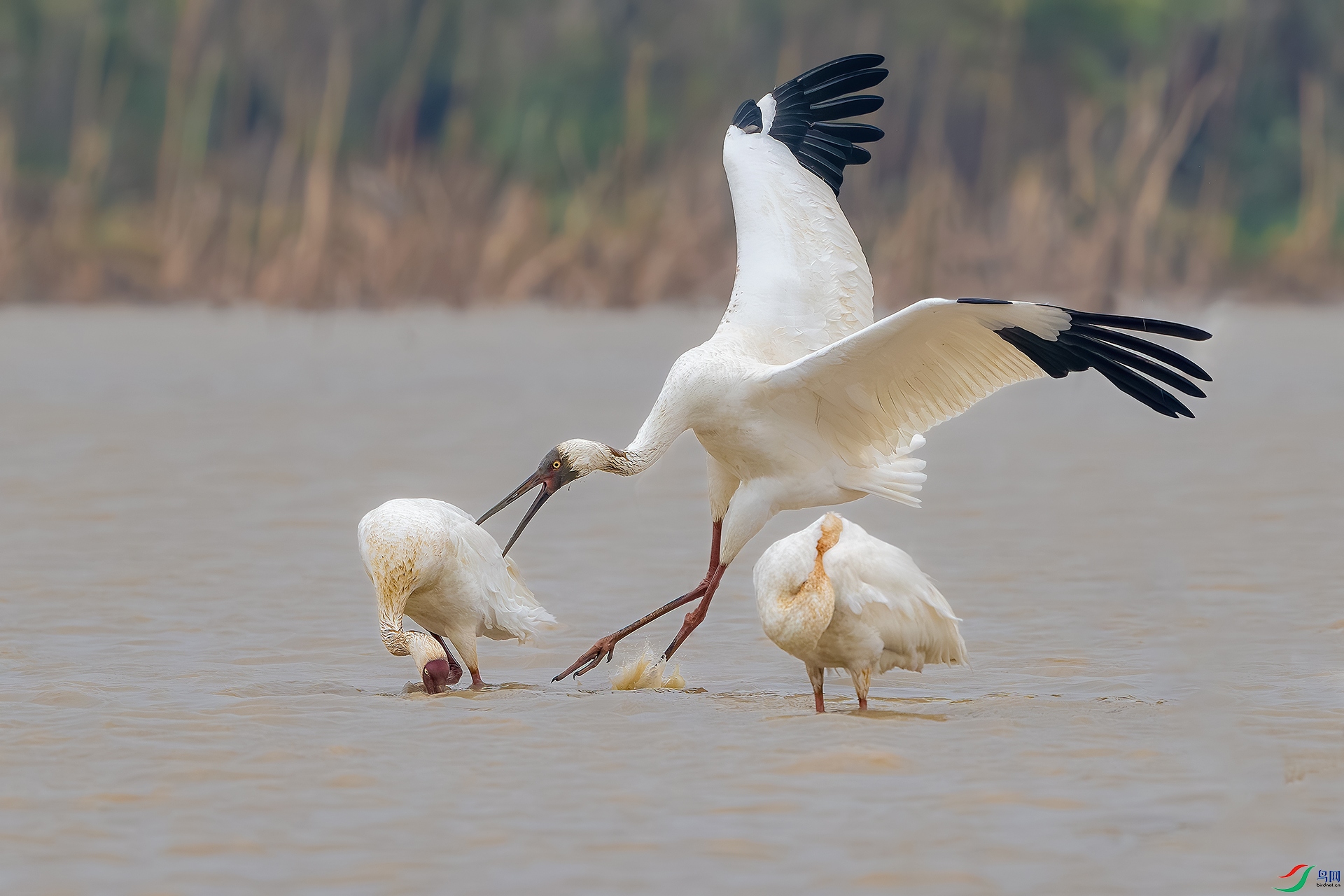 _DSC5271-����ǿ-NR ����С.jpg