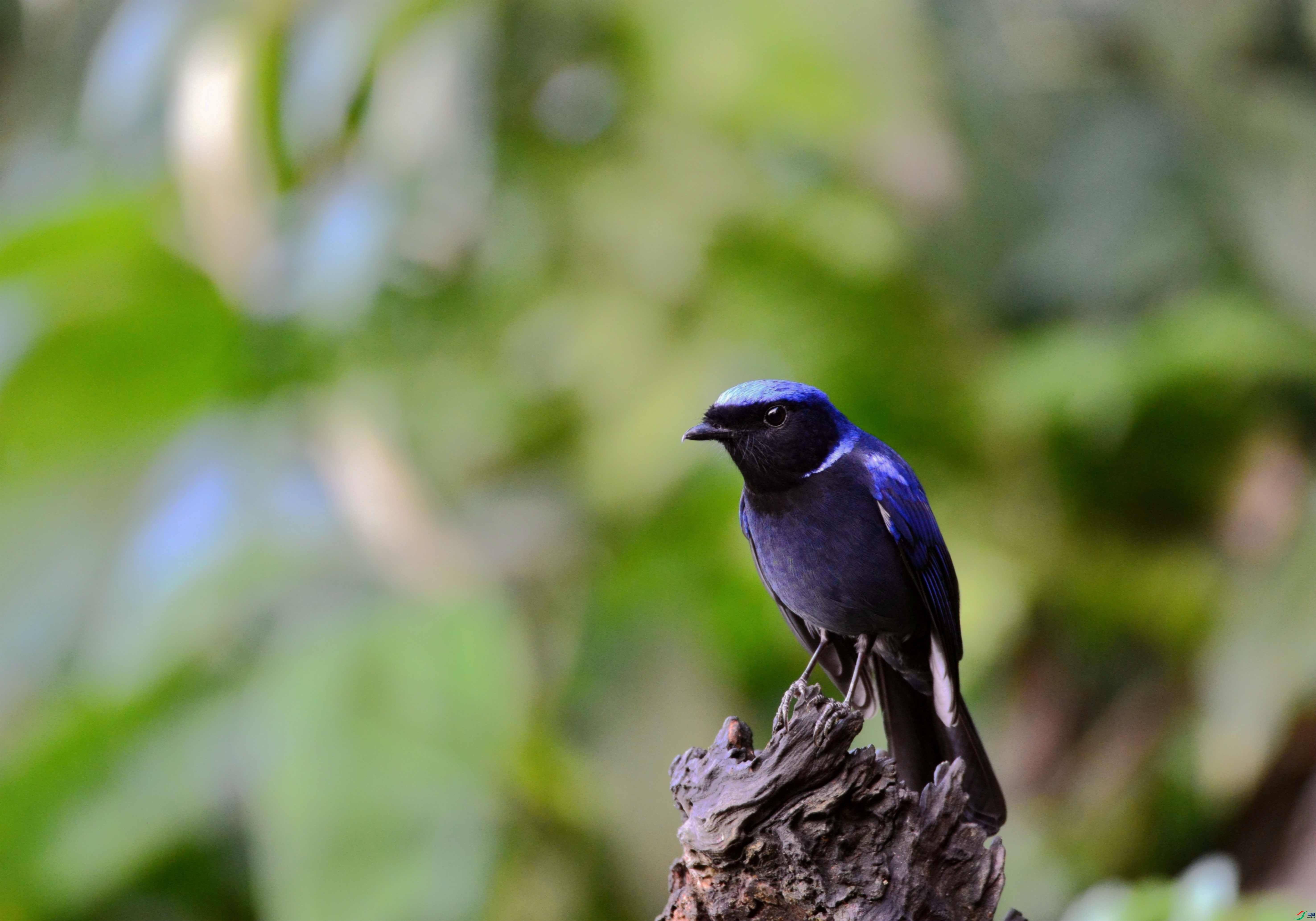 DSC_8614.JPG