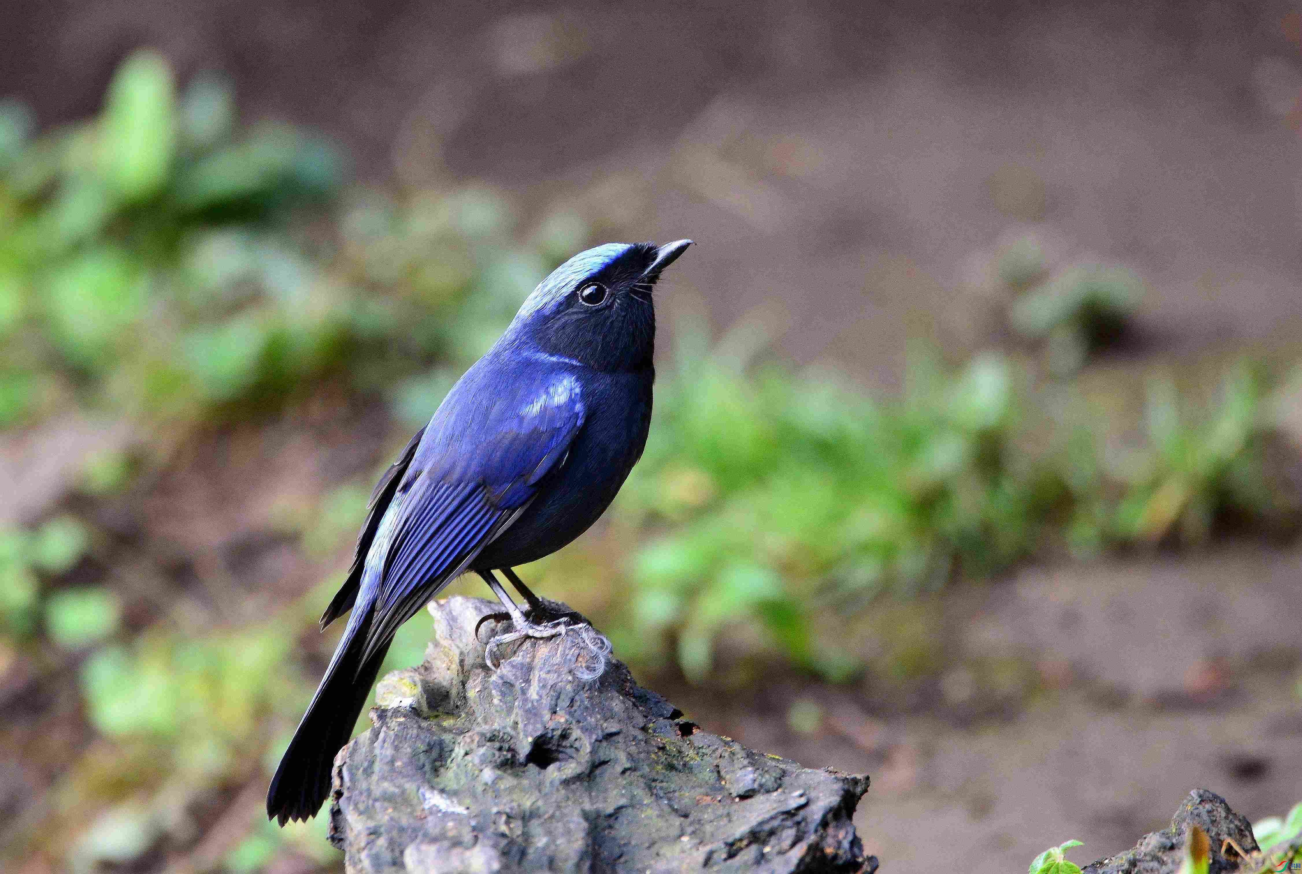 DSC_8705.JPG
