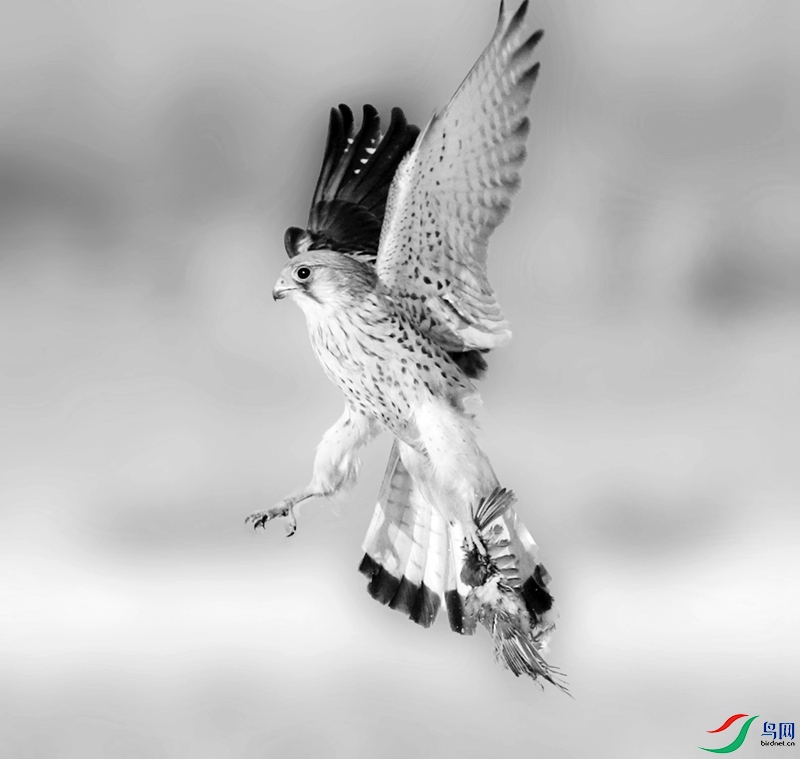 1D4A1699_����_����.jpg