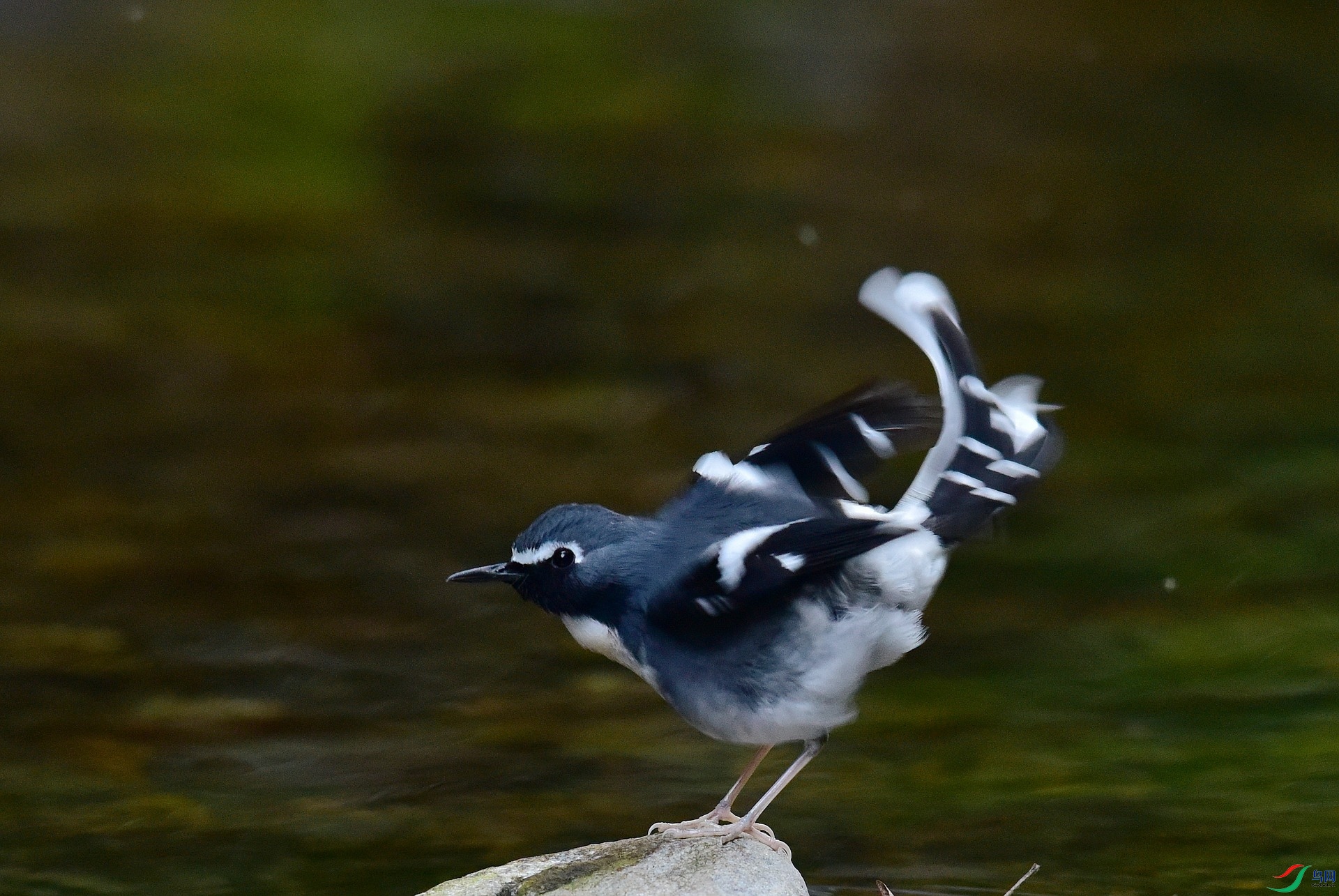 D8I_2508.jpg