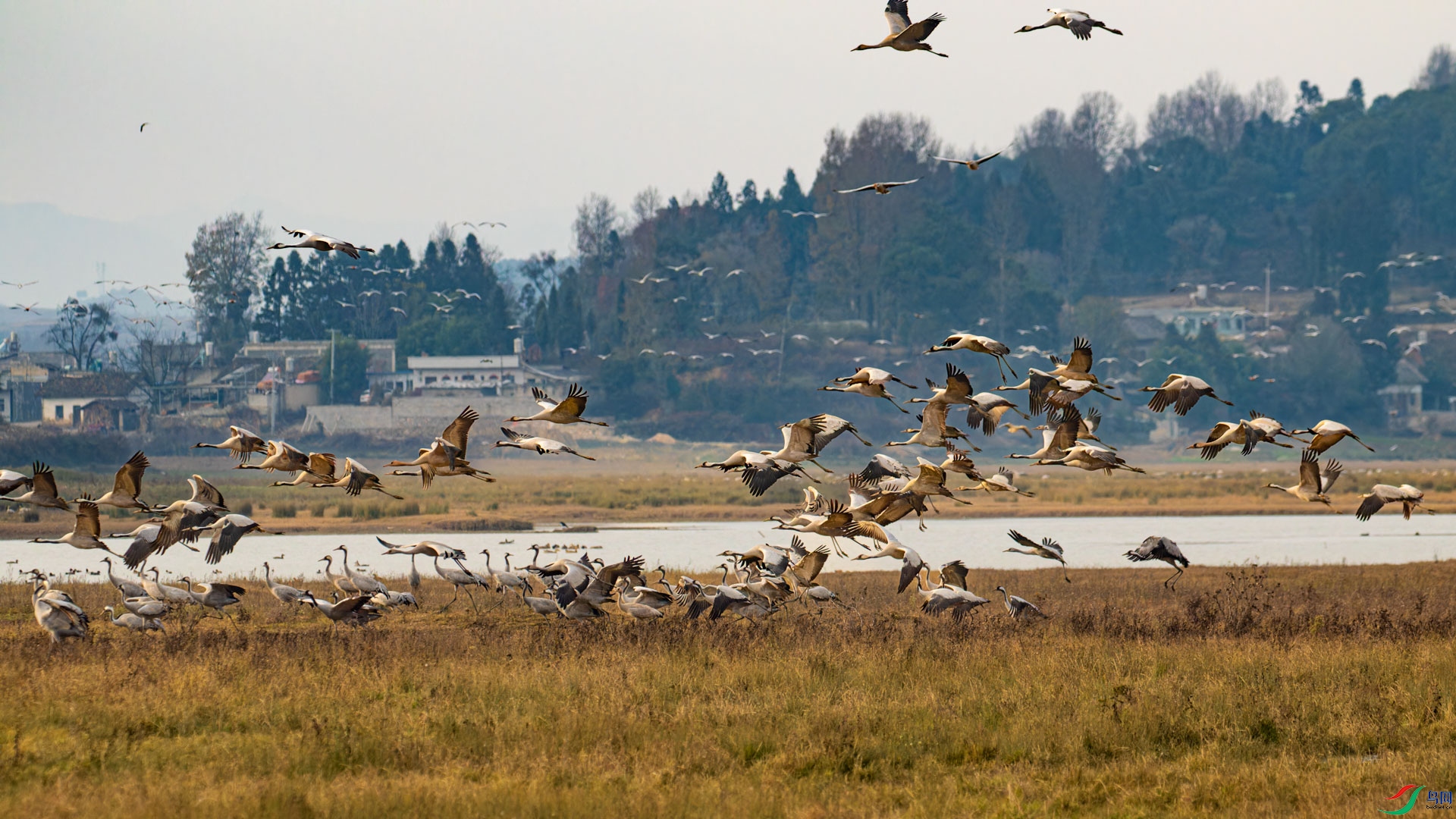 _00A5422-CR2_DxO_DeepPRIMEXD-1.jpg