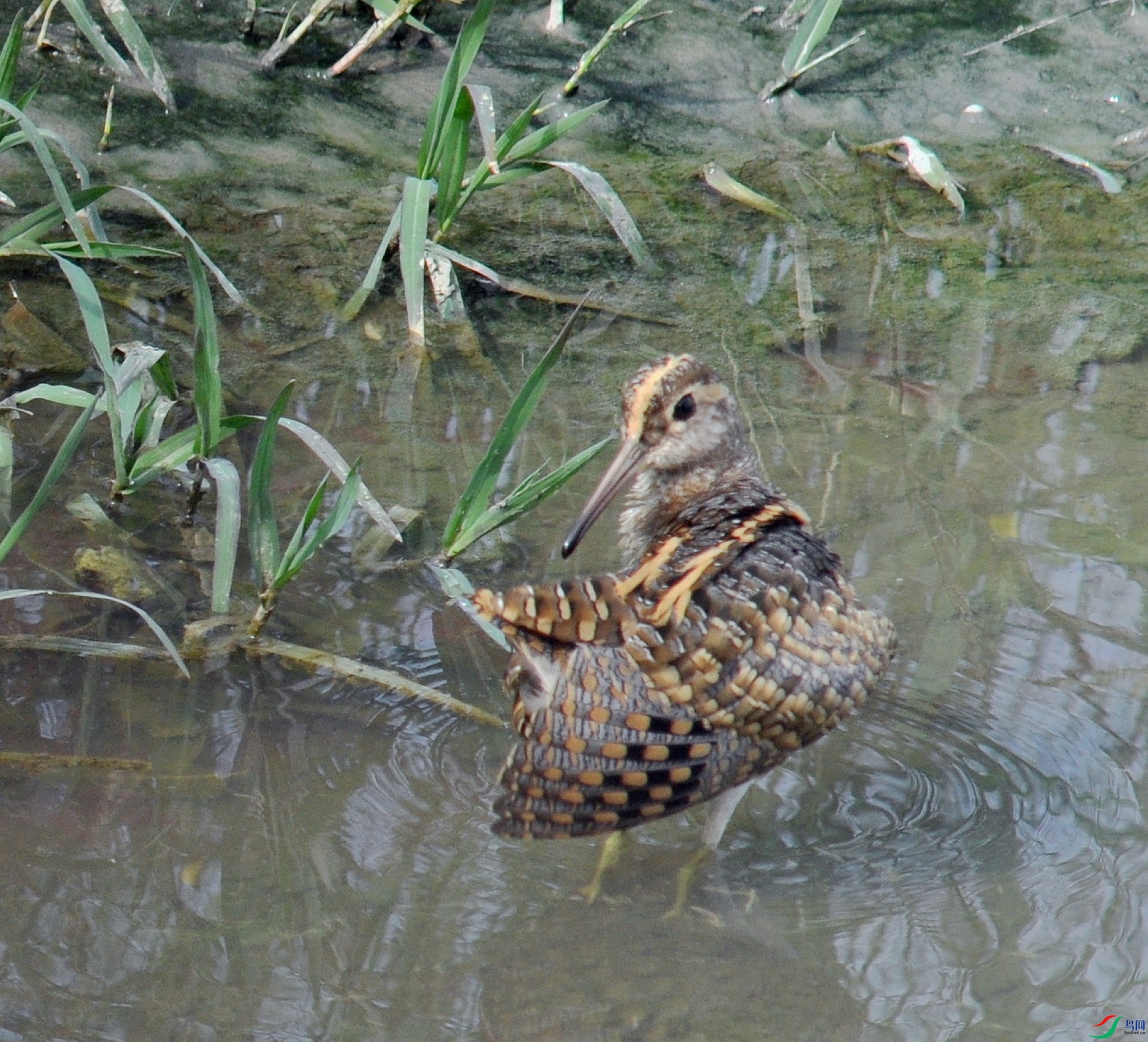 DSC_2560.jpg