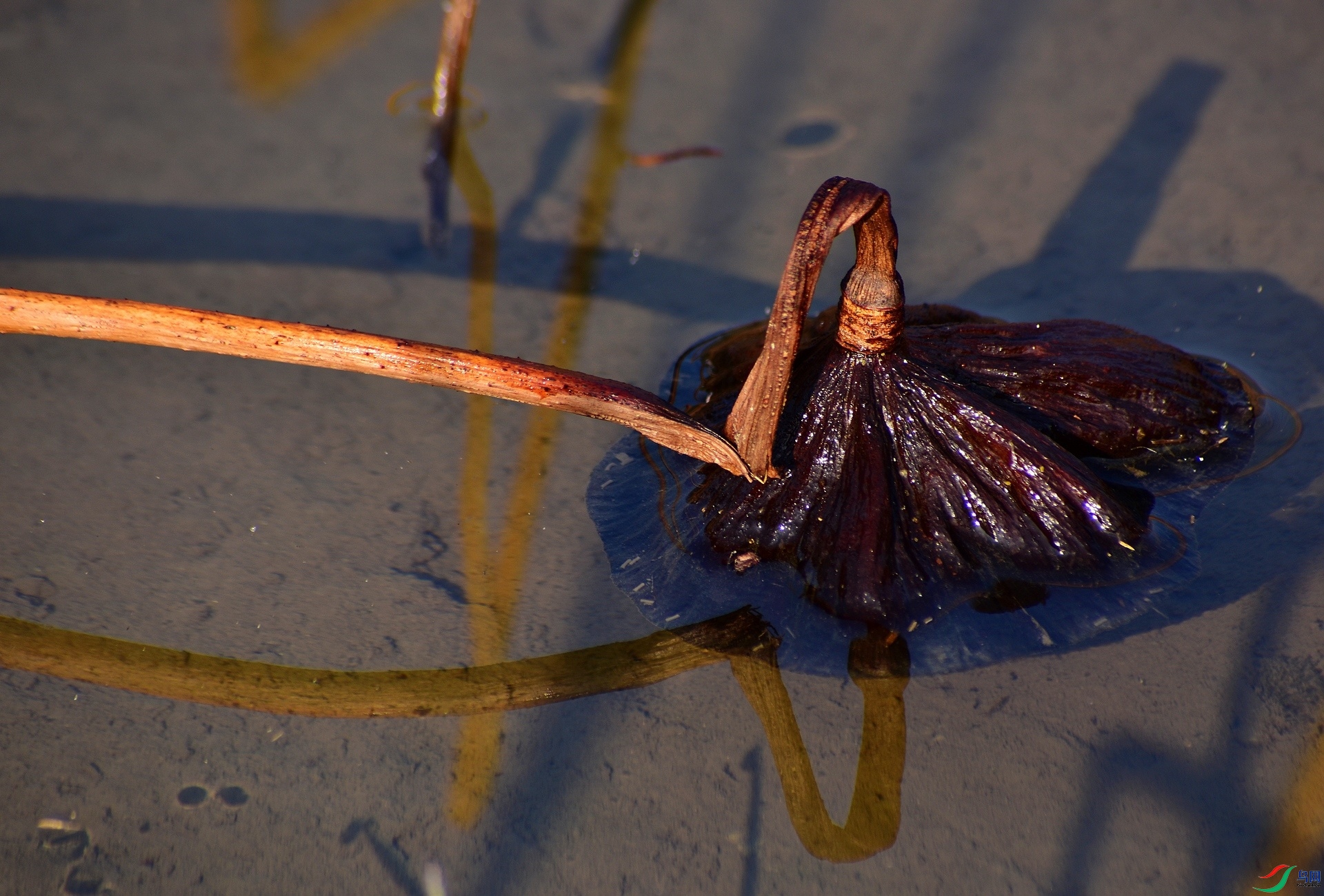 D8I_2957.jpg
