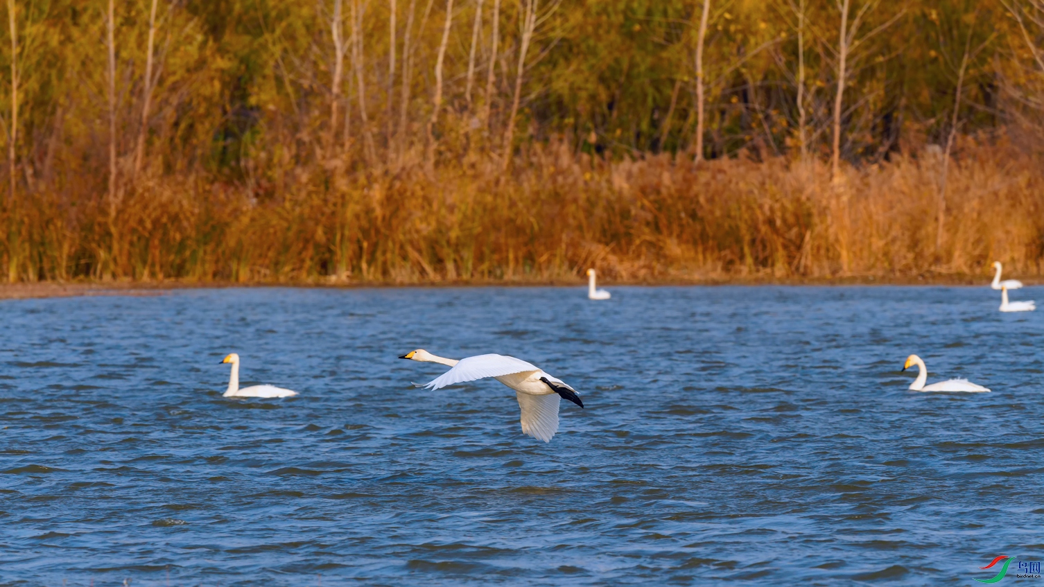 DSC_4857_DxOa.jpg