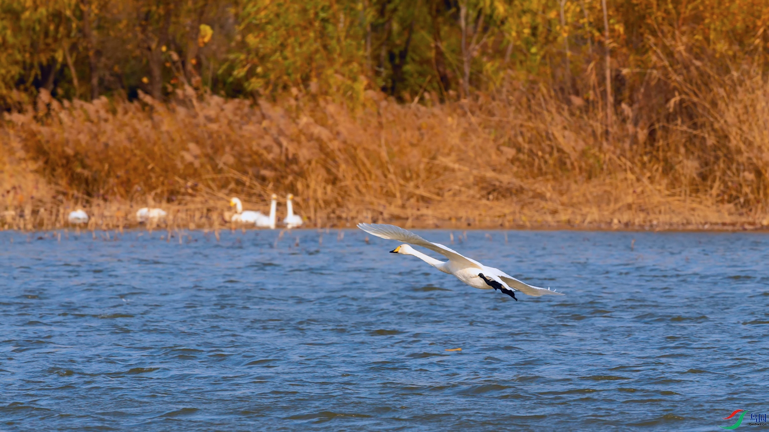 DSC_4871_DxOa.jpg