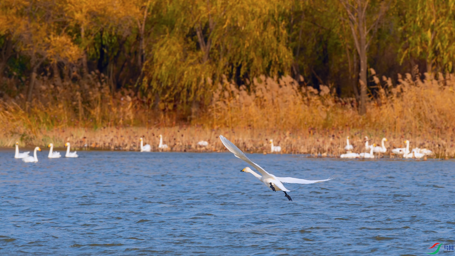 DSC_4879_DxOa.jpg