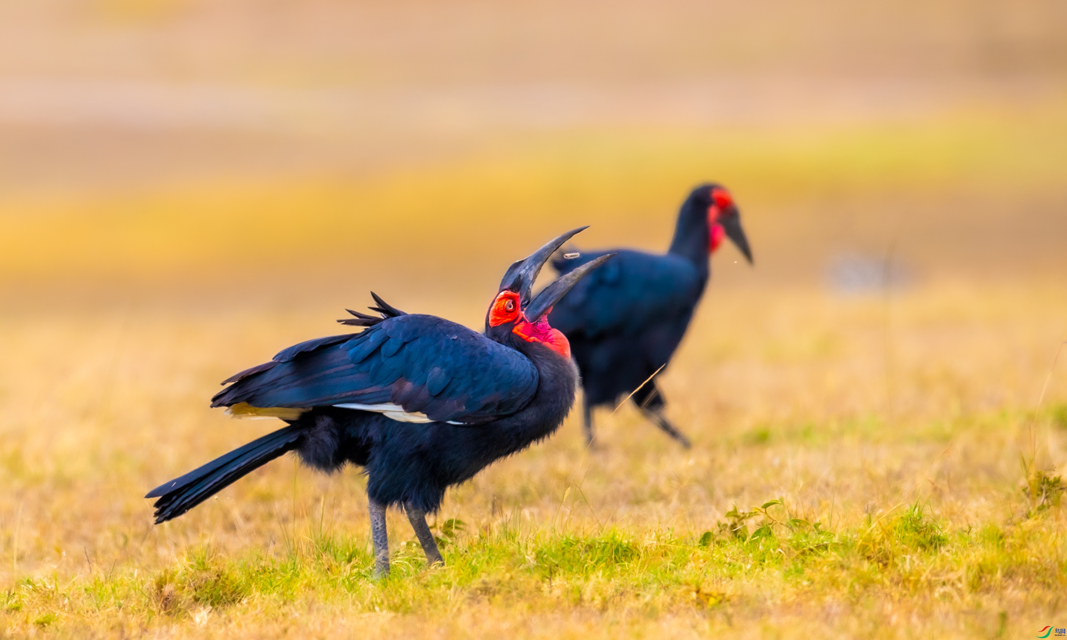 DSC_3034-1.jpg