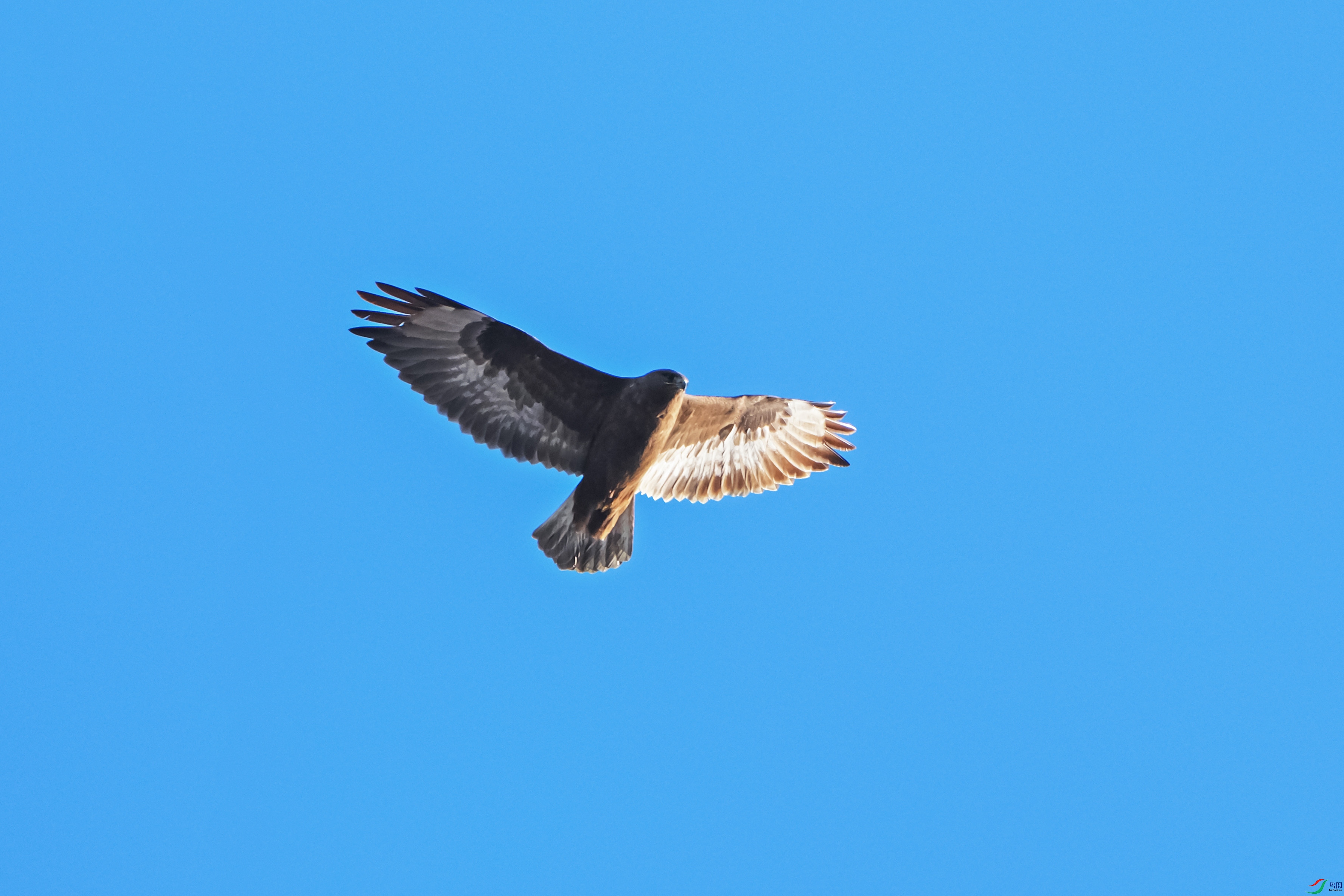 DSCF1530.jpg