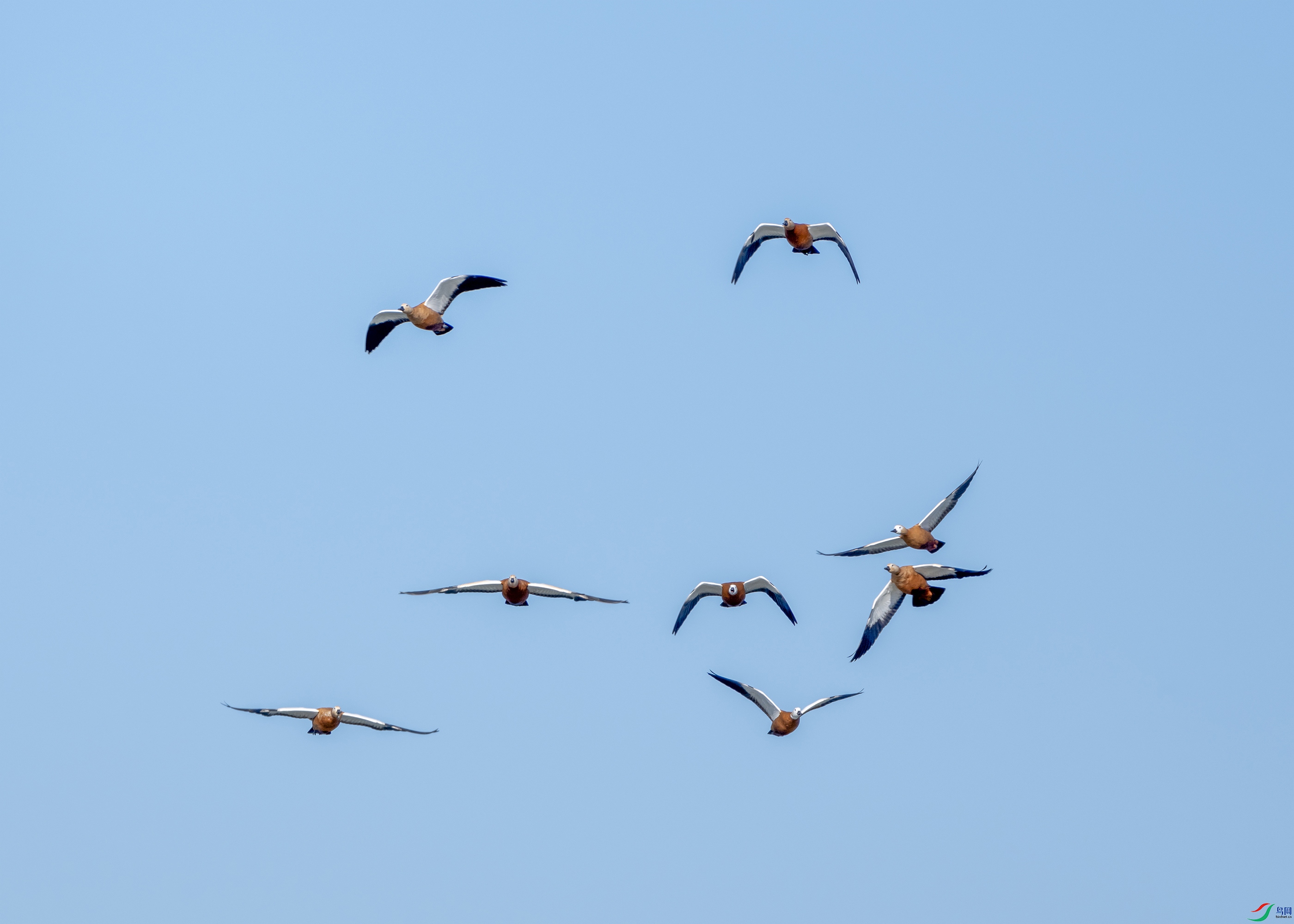 DSCF1240 ����.jpg