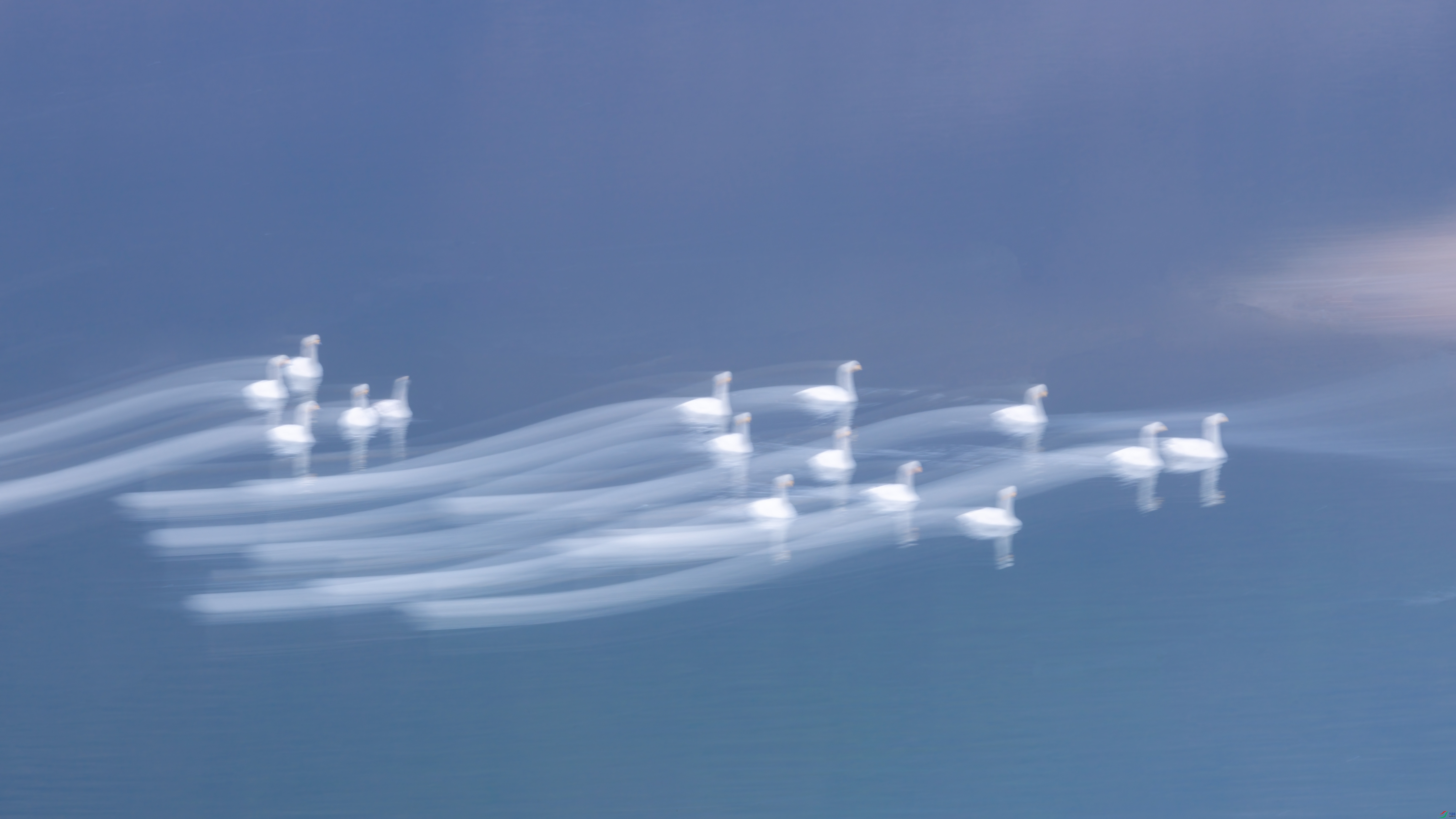 2I7A5515 ����.jpg