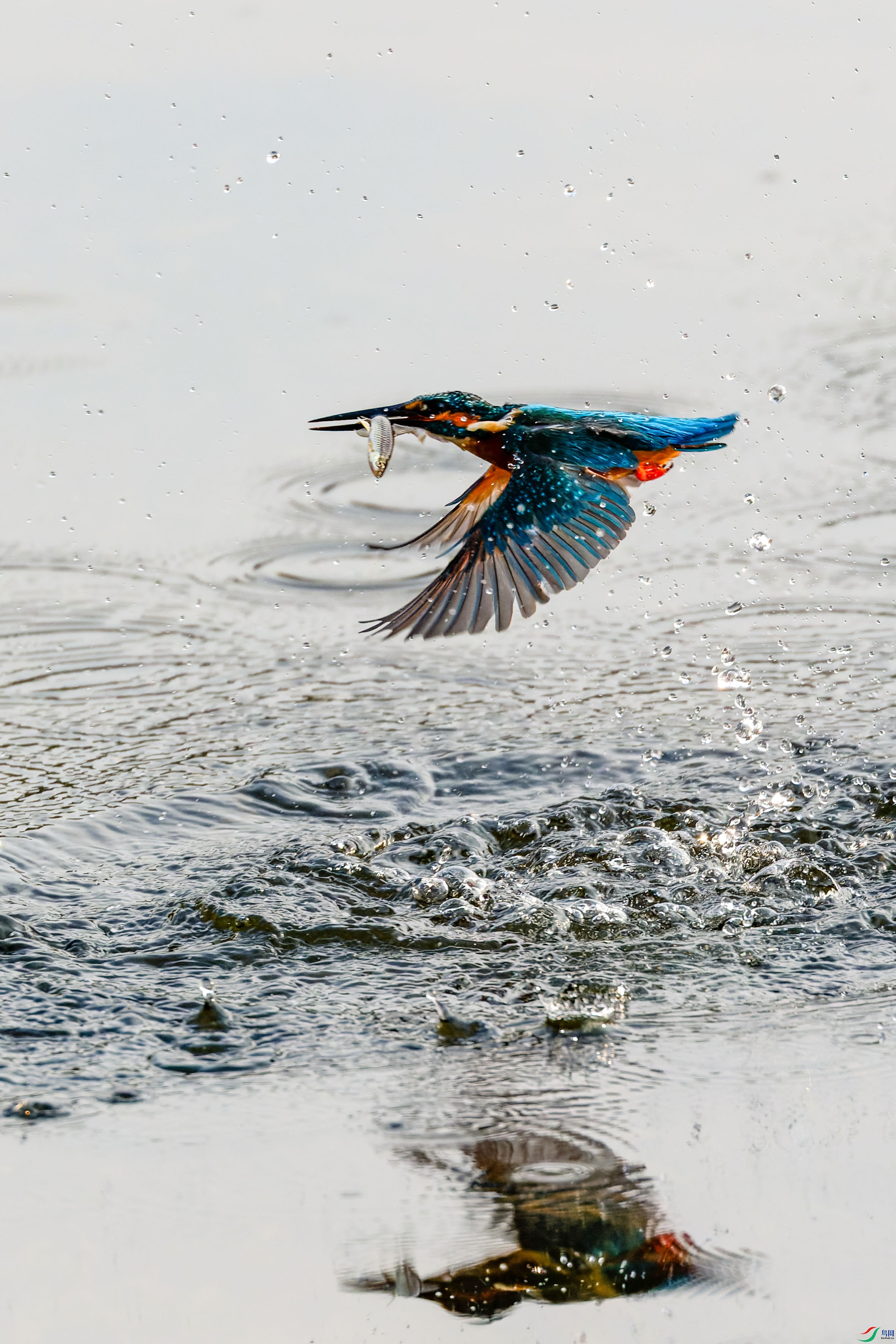 7D2_6356-CR2_DxO_DeepPRIME-1.jpg