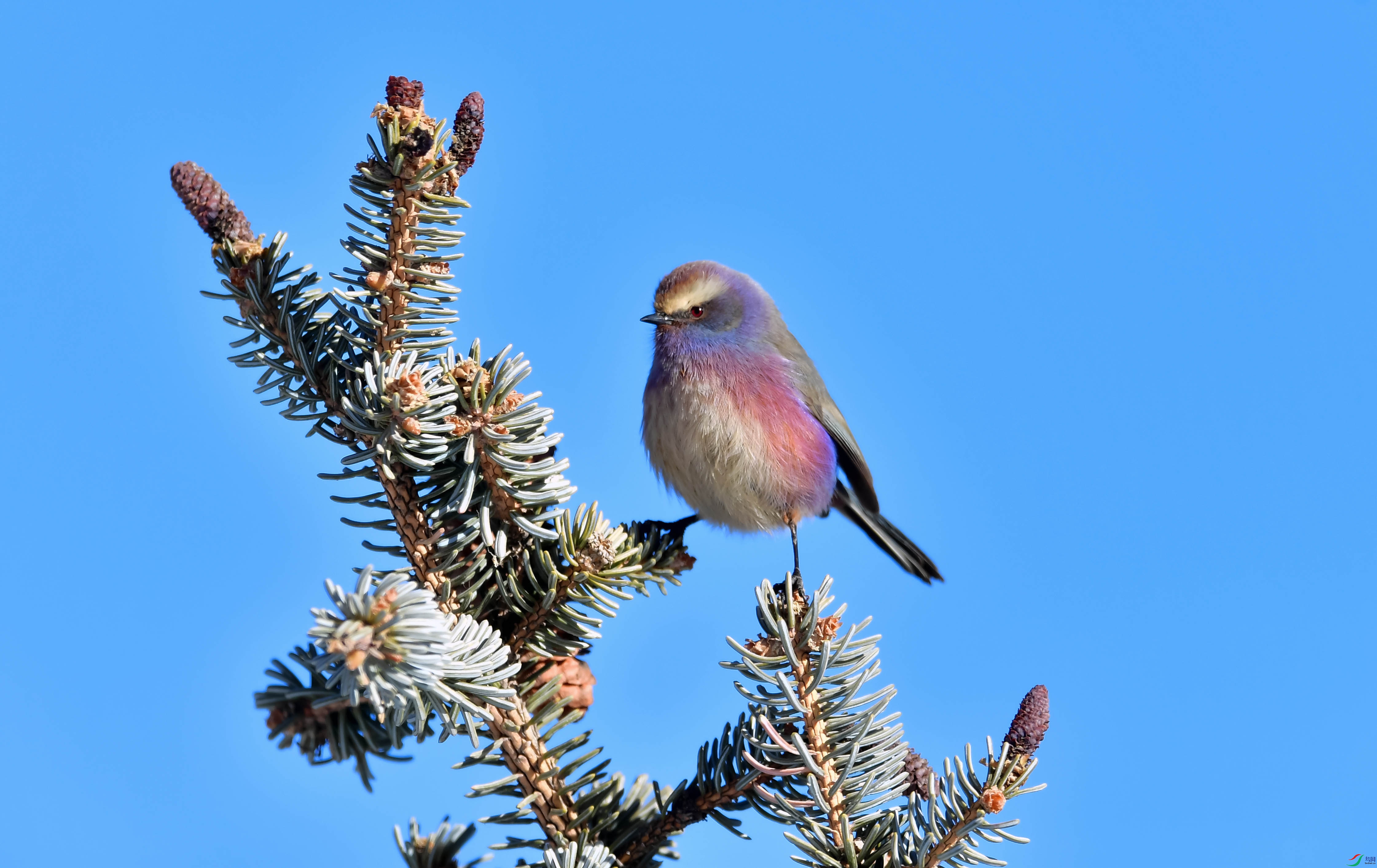 DSC_6084.jpg