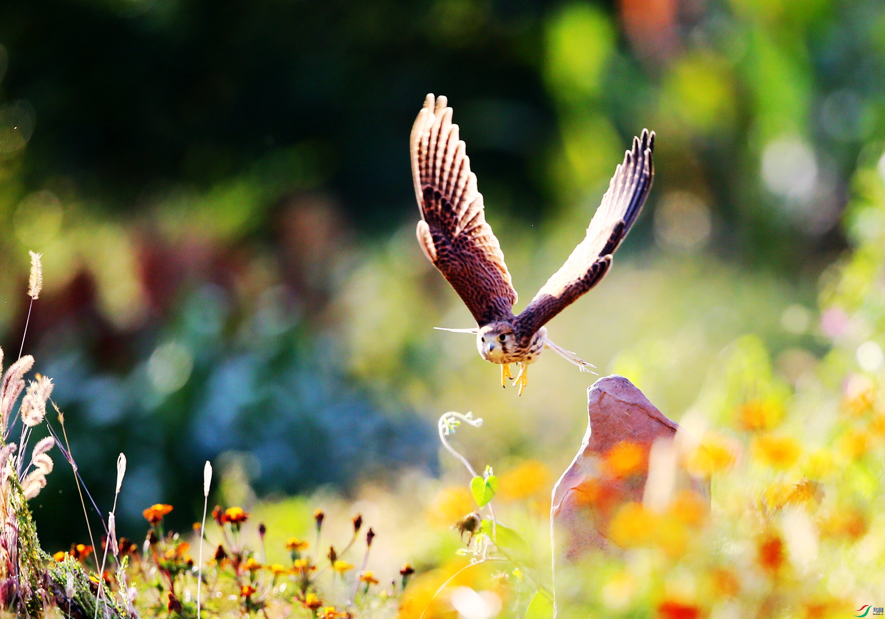 ����  (51).JPG