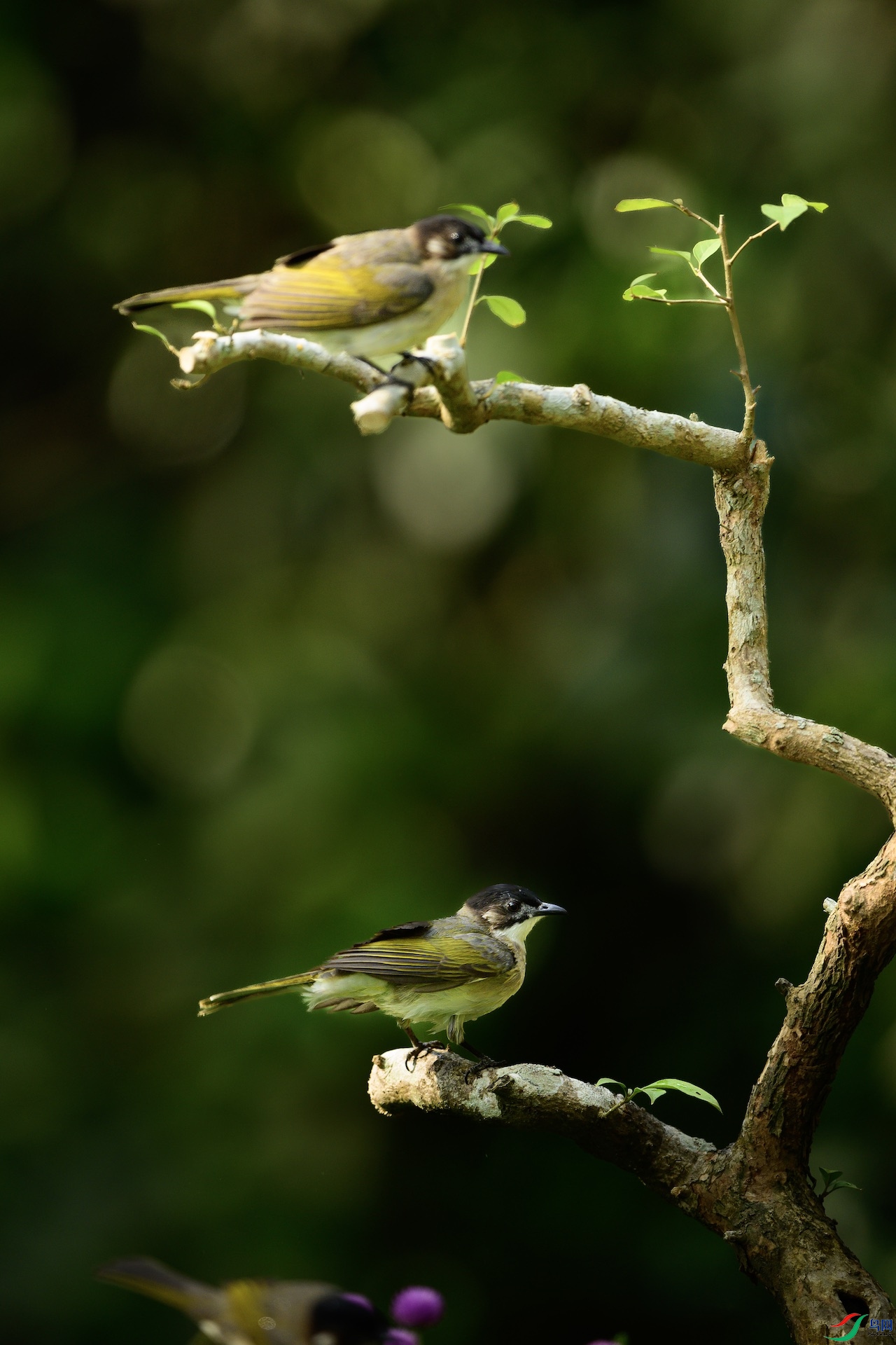 1_DSC0810 ����.jpeg