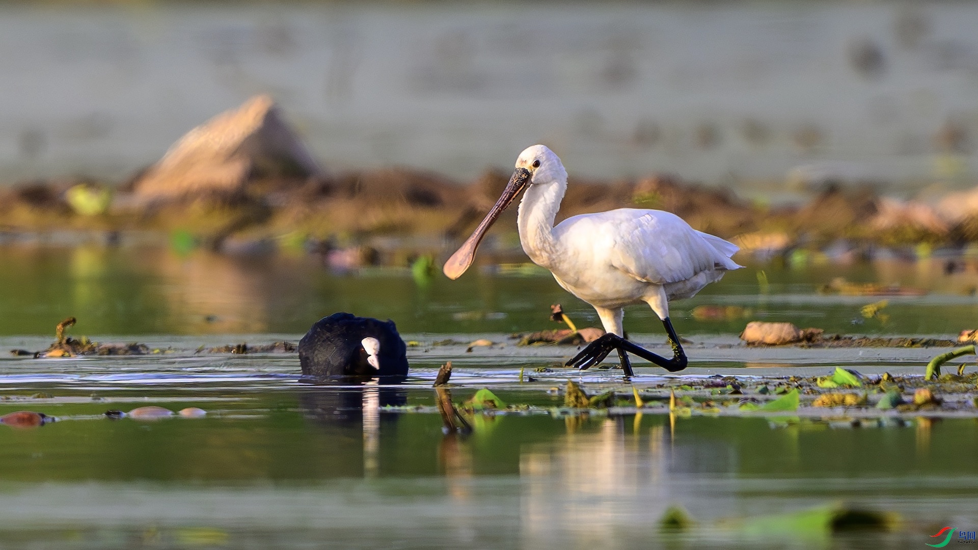 1_XXL0210-����ǿ-NR ����.jpeg