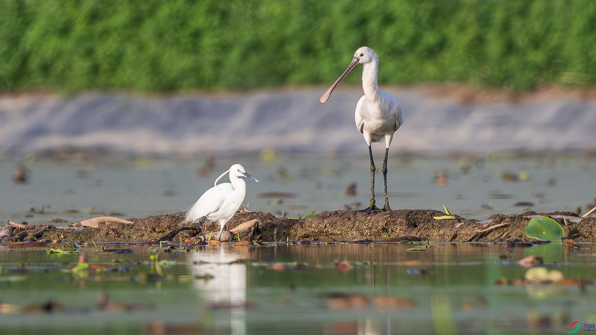 1_XXL0283-����ǿ-NR ����.jpeg