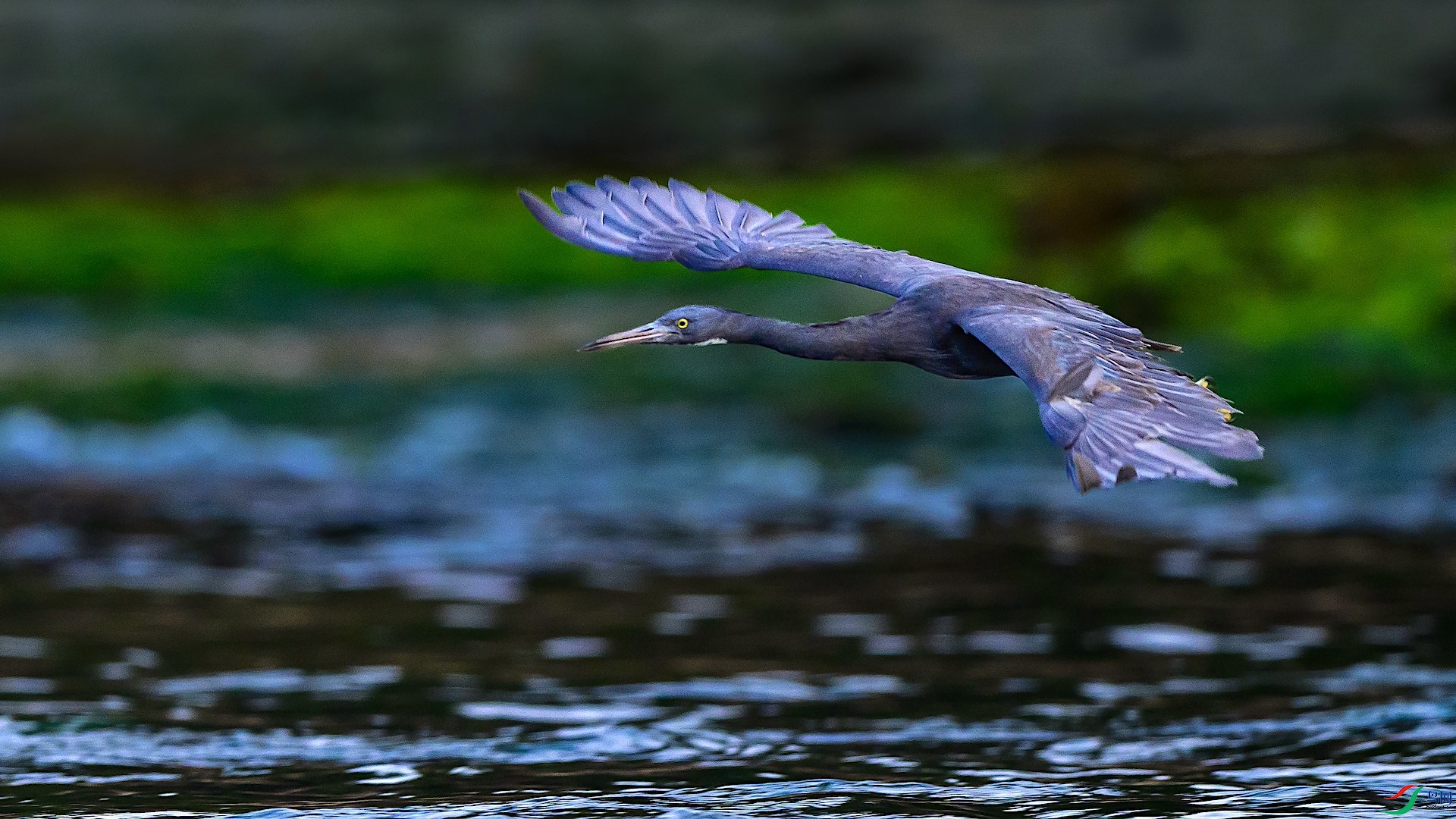 1_XXL4015 ����.jpeg