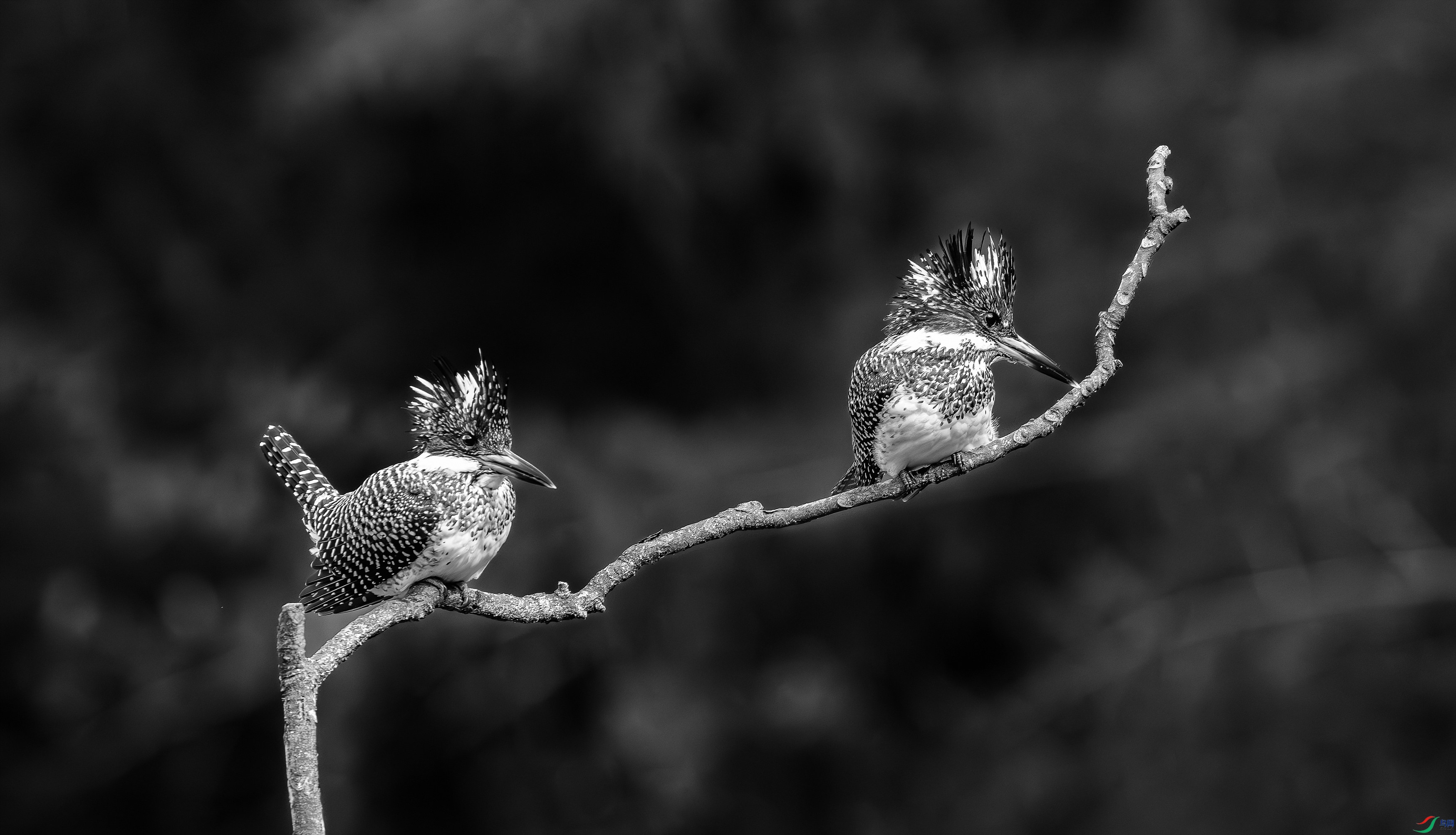 412A7871-����ǿ-����-1-2_����=00.jpg