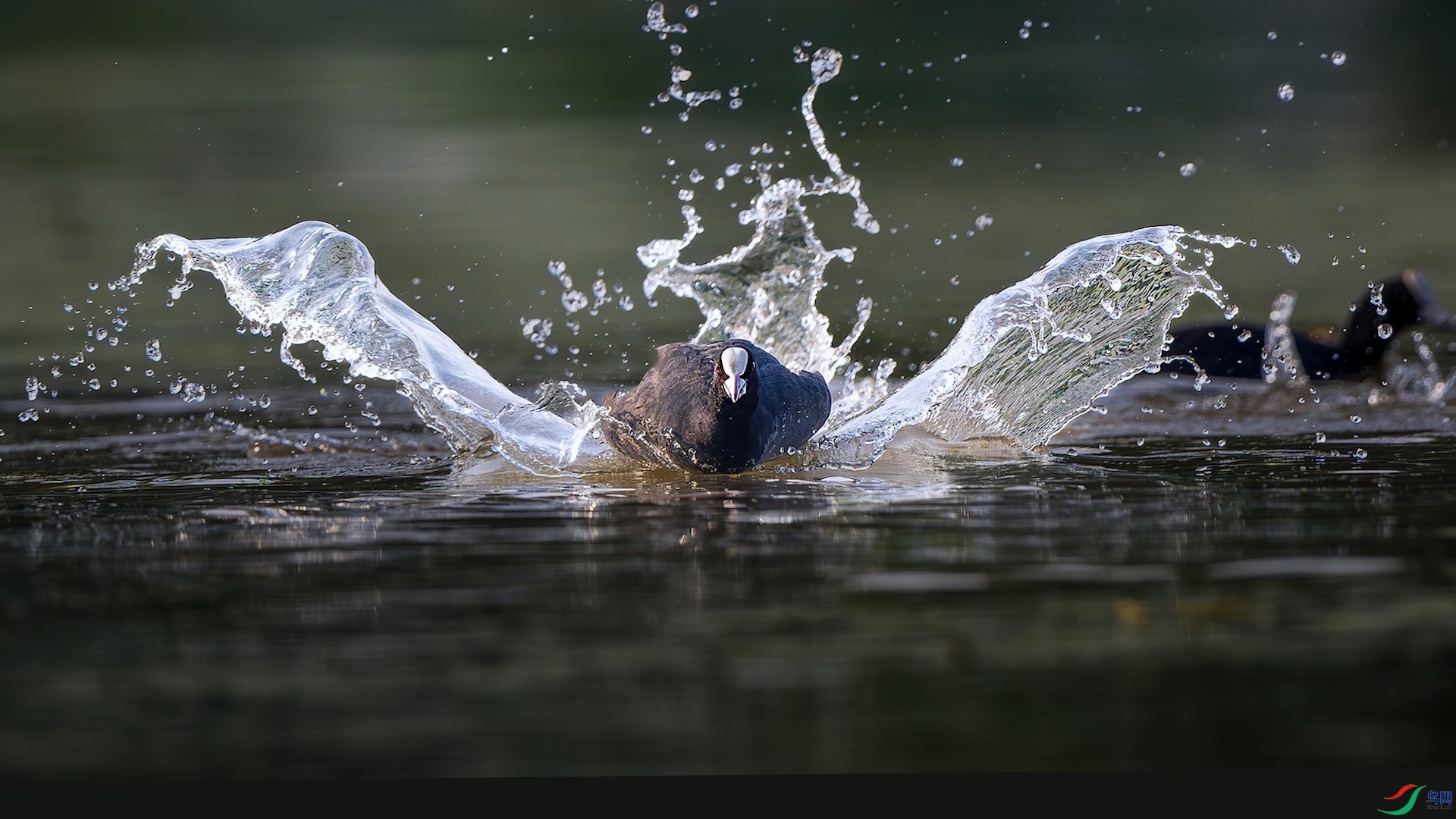 1_XXL8889-����ǿ-NR ���� 2.jpeg