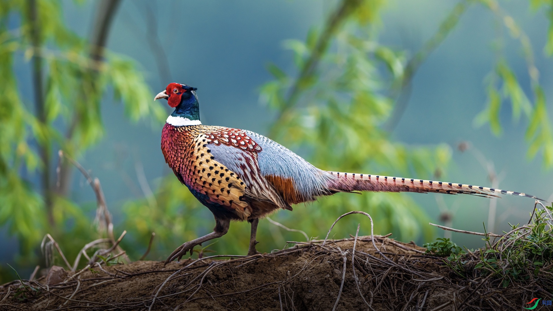 1-2_XXI2892 ����.jpeg